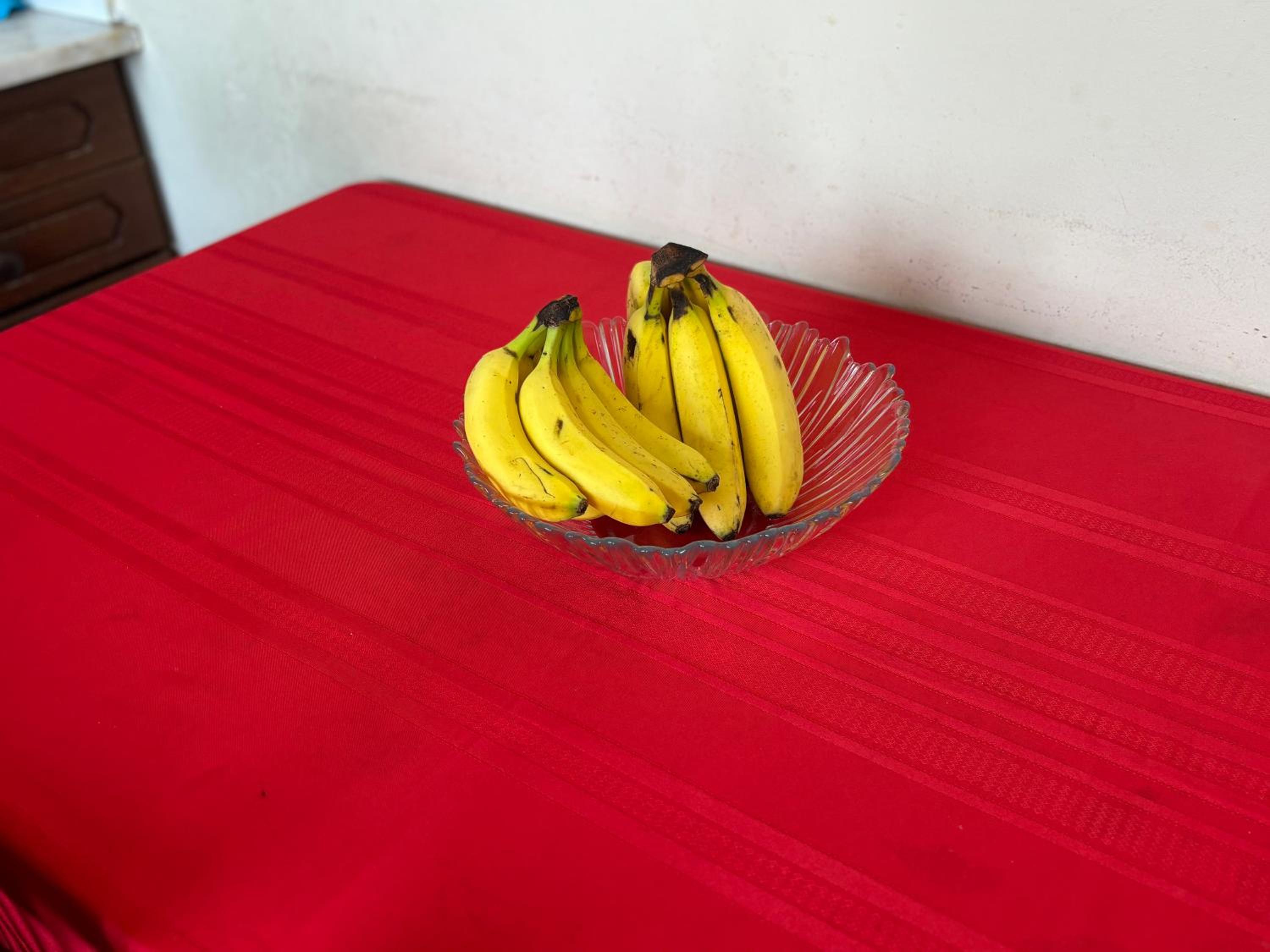Casa de Amor