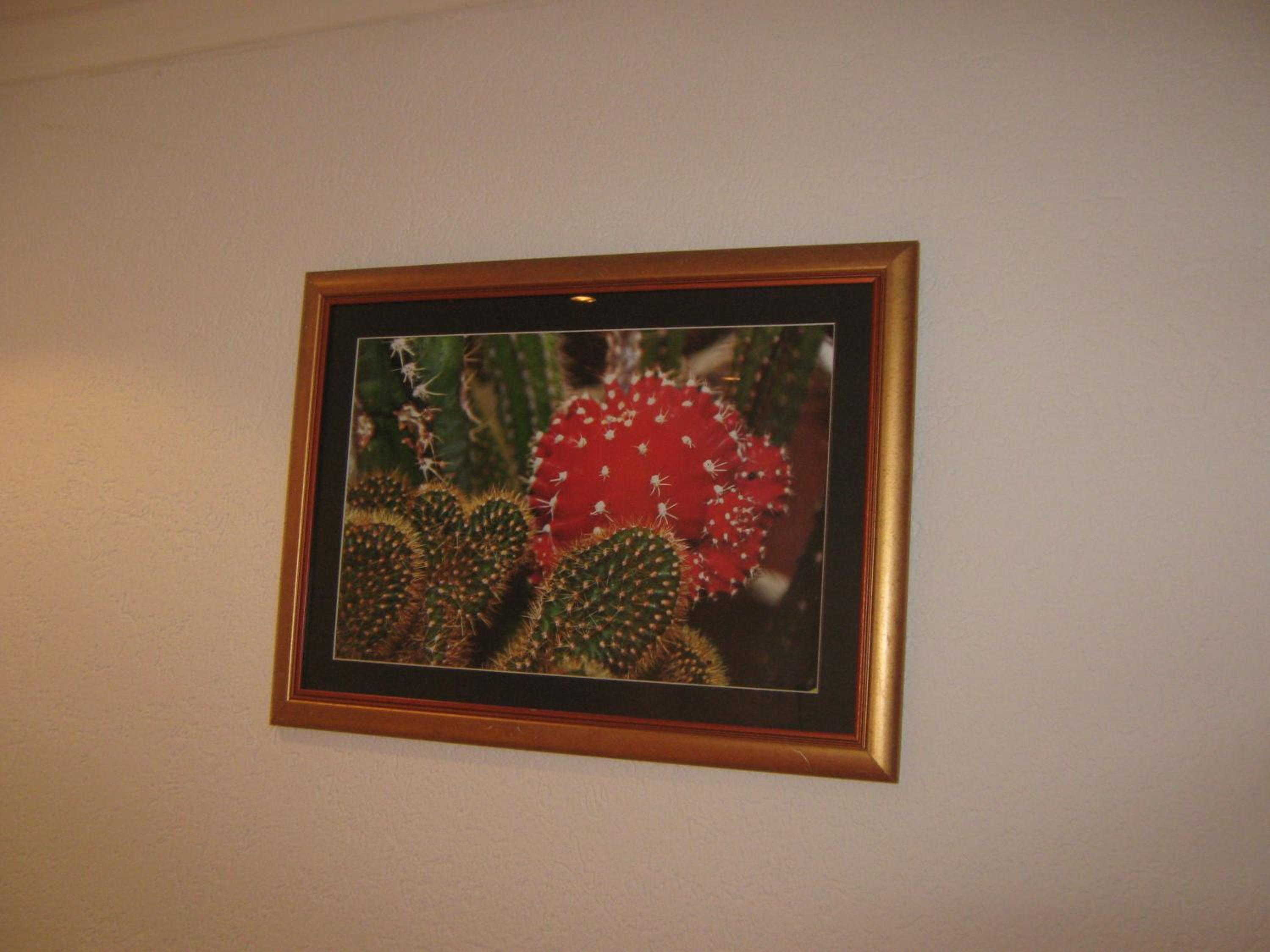 Photo 38
