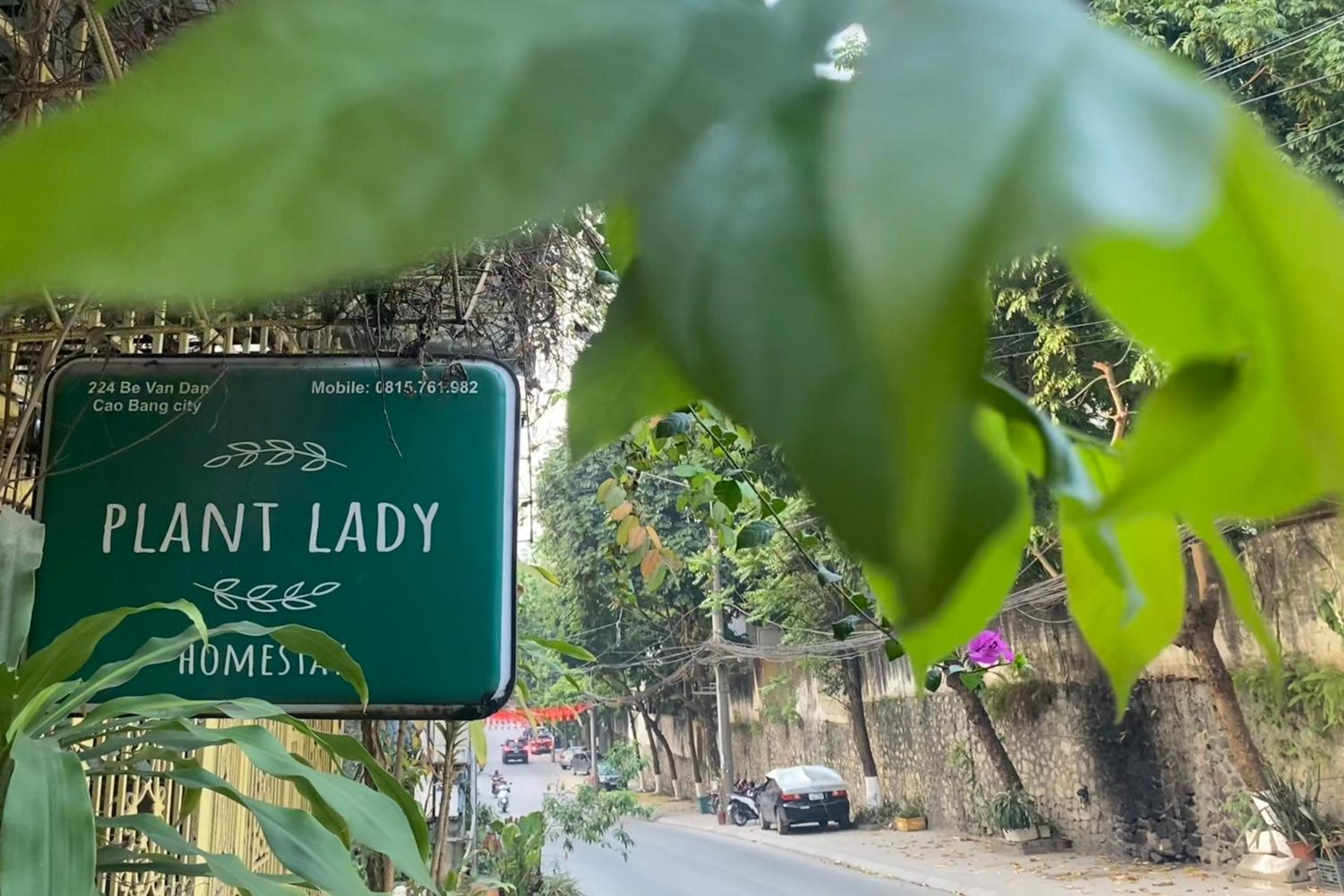 Plant Lady Homestay Cao Bằng view 2