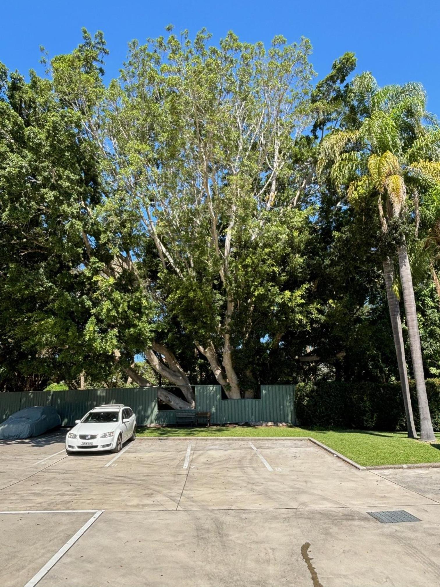 parking