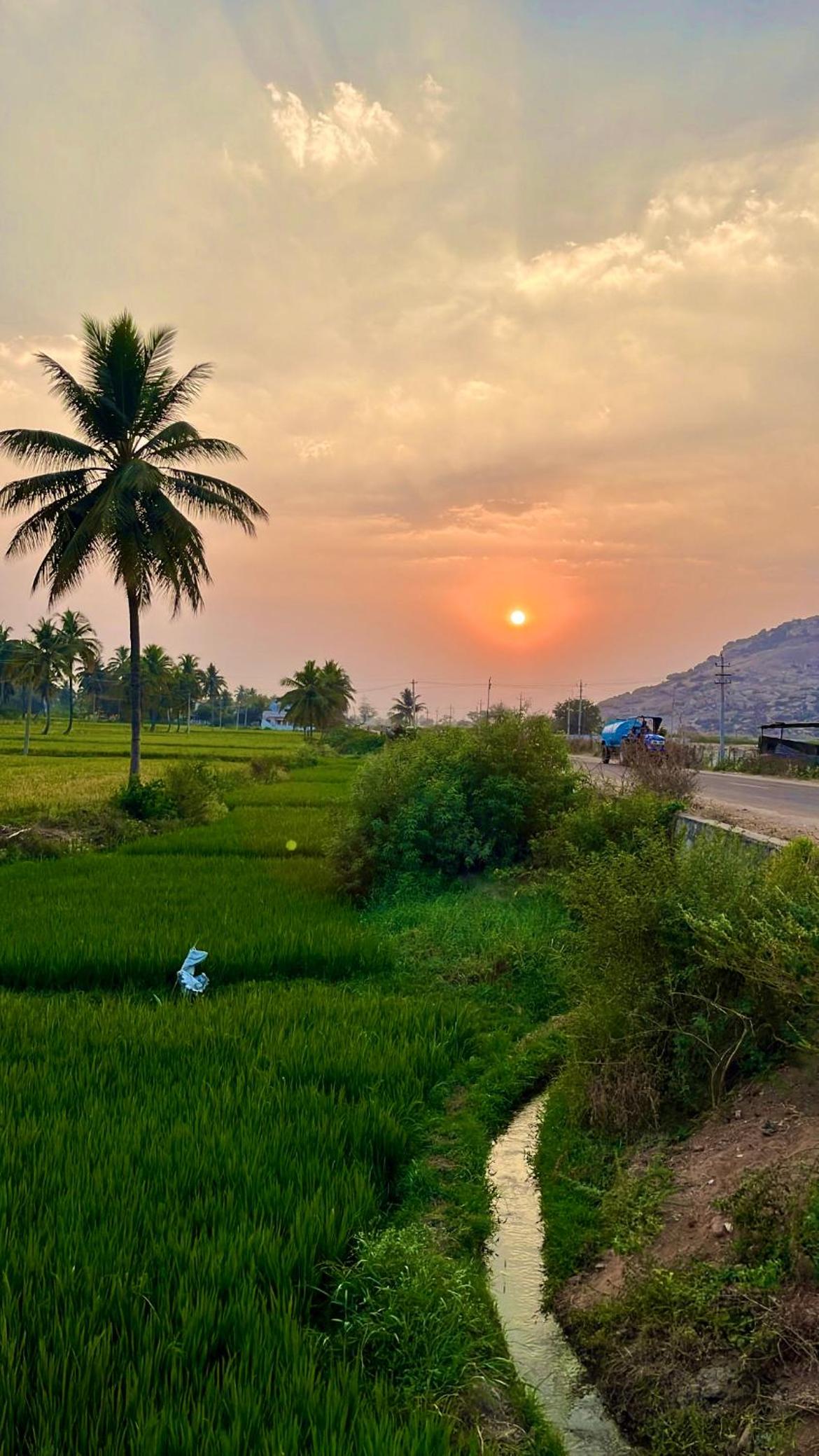 Tropical Hampi