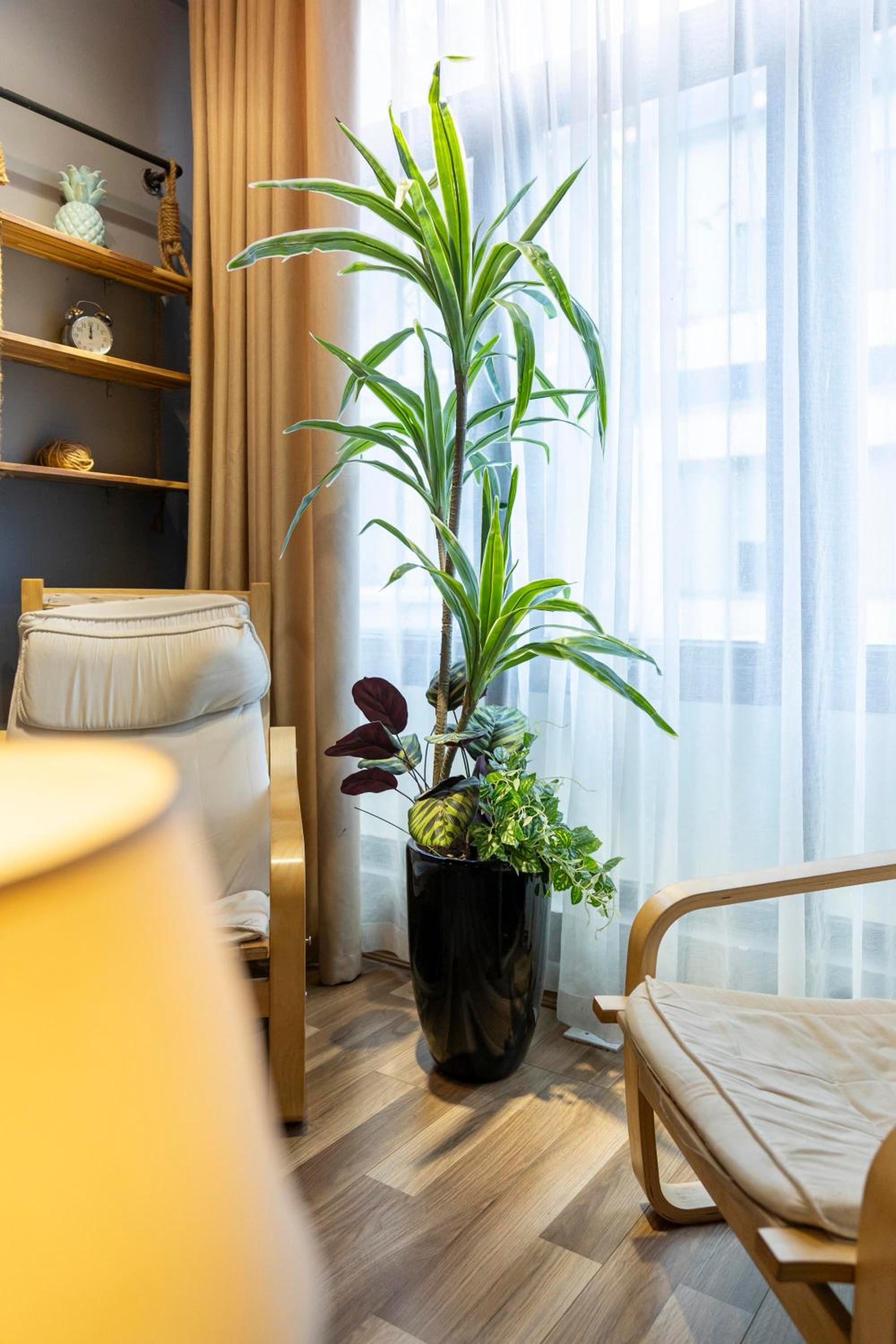 Trinh's House - Hang Vai
