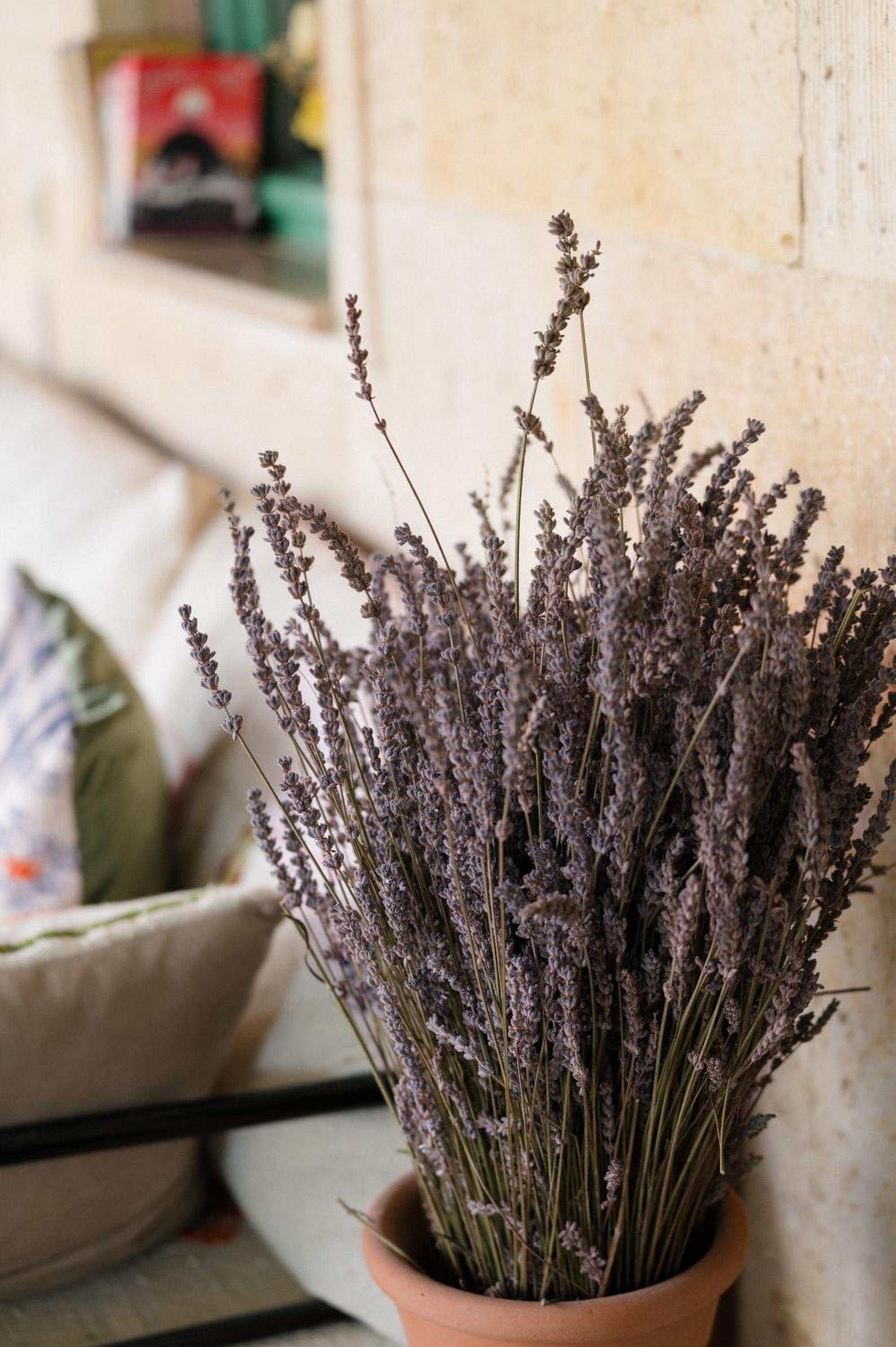Heybe Hotel & Spa - Image 64