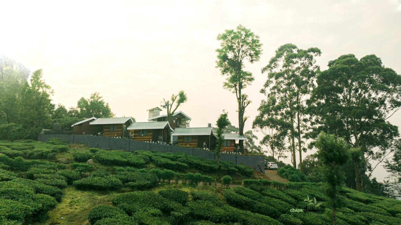 Chayathottam Holidays