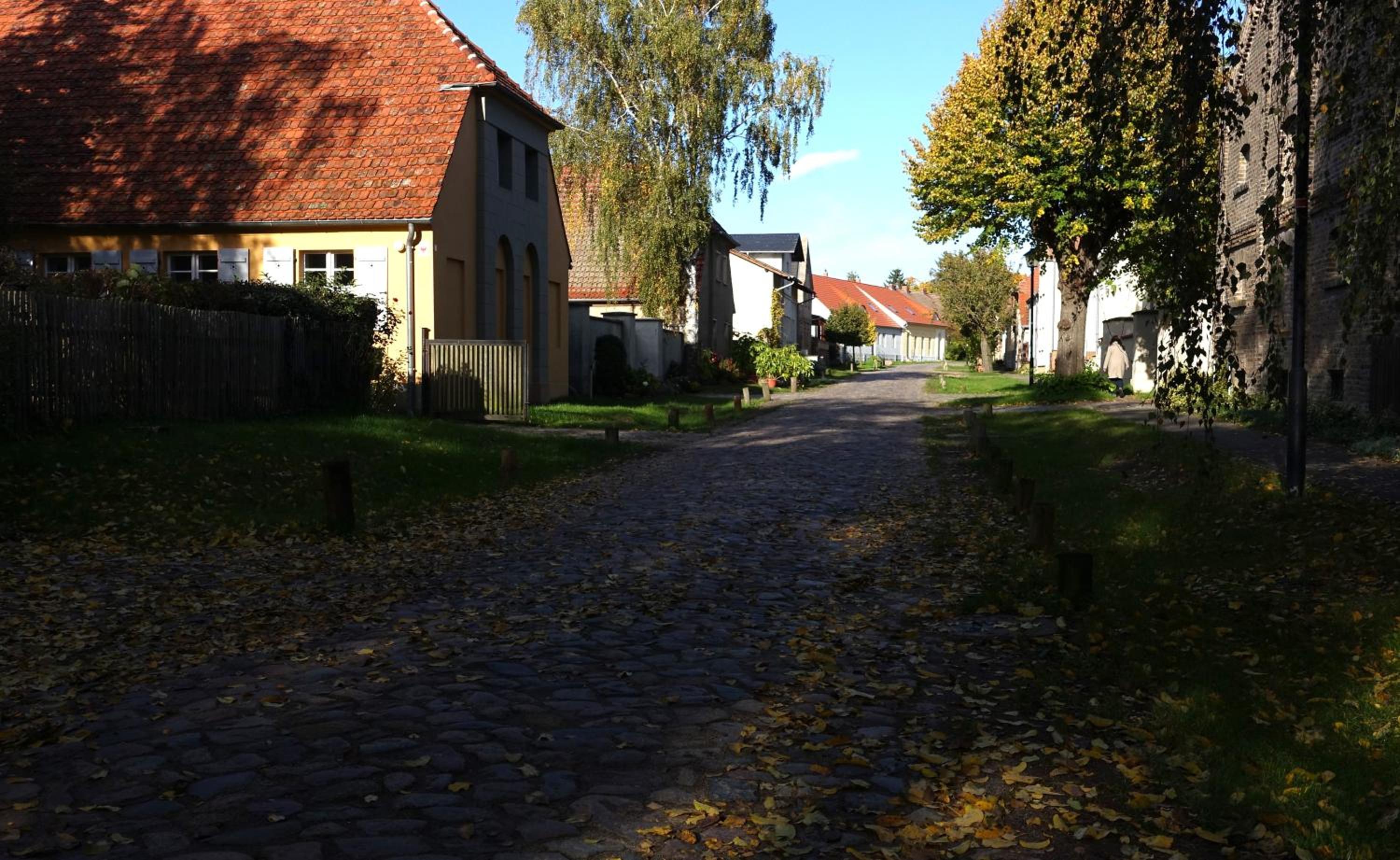 Photo 29