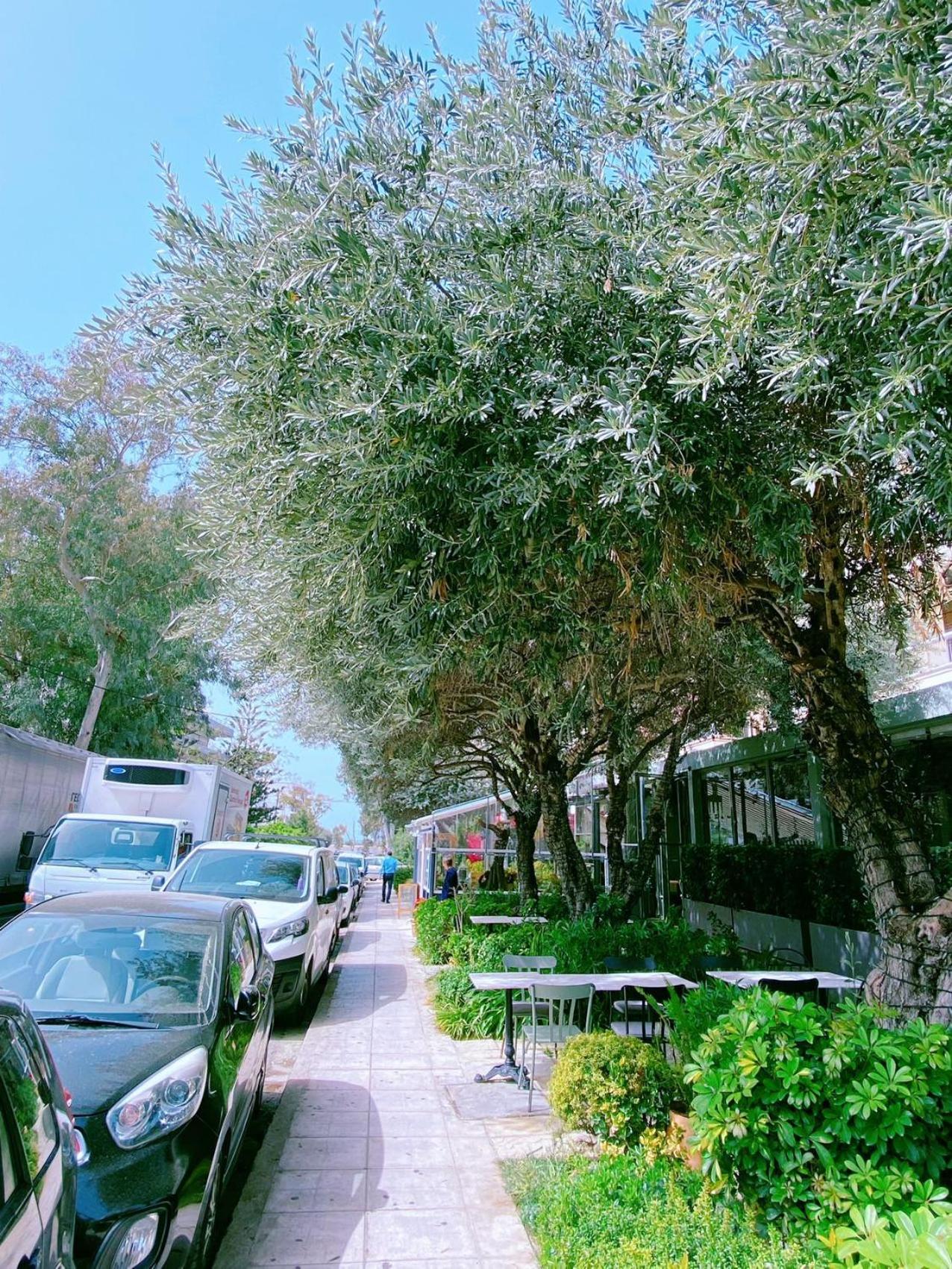 Glyfada Suite