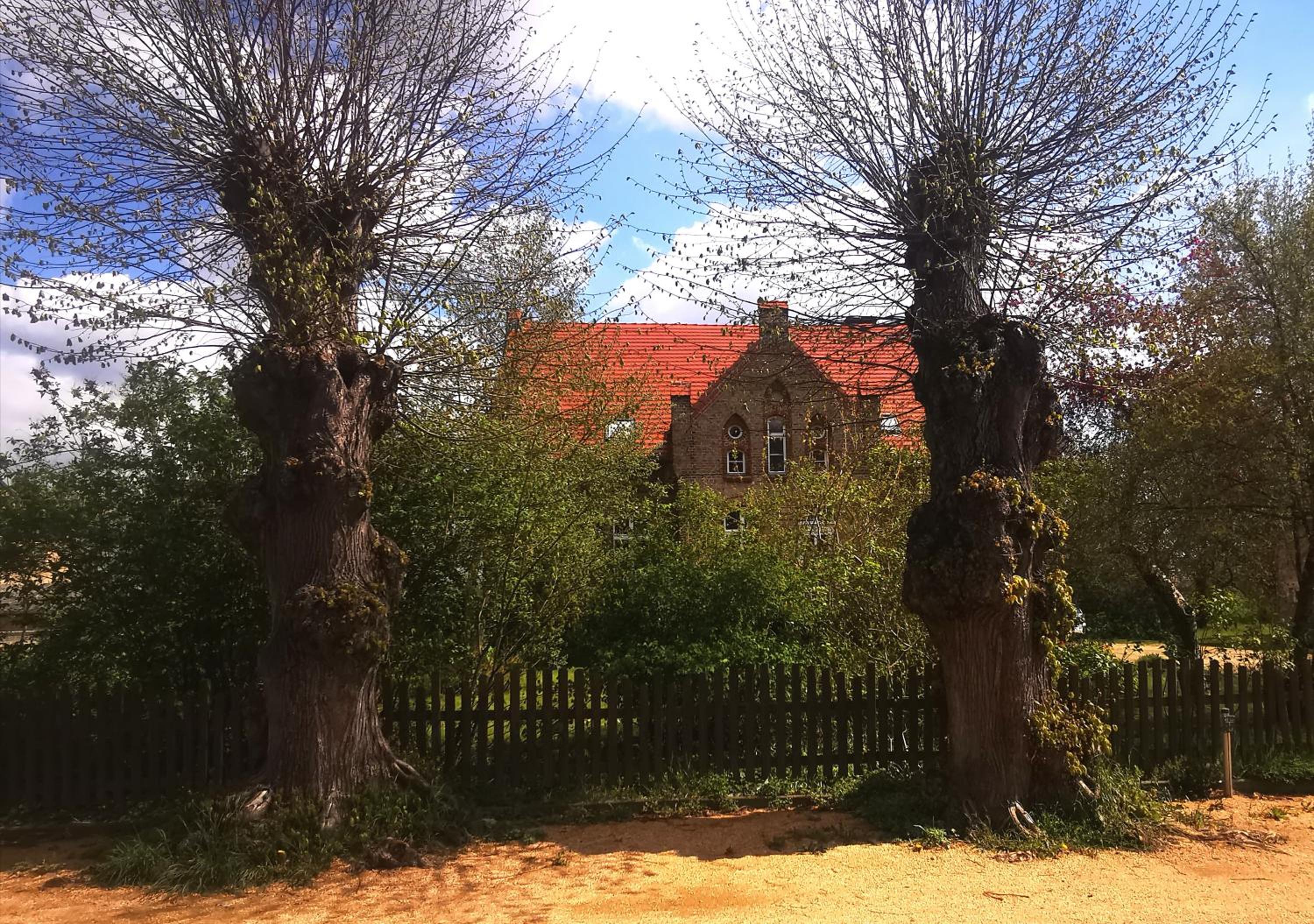 Photo 45