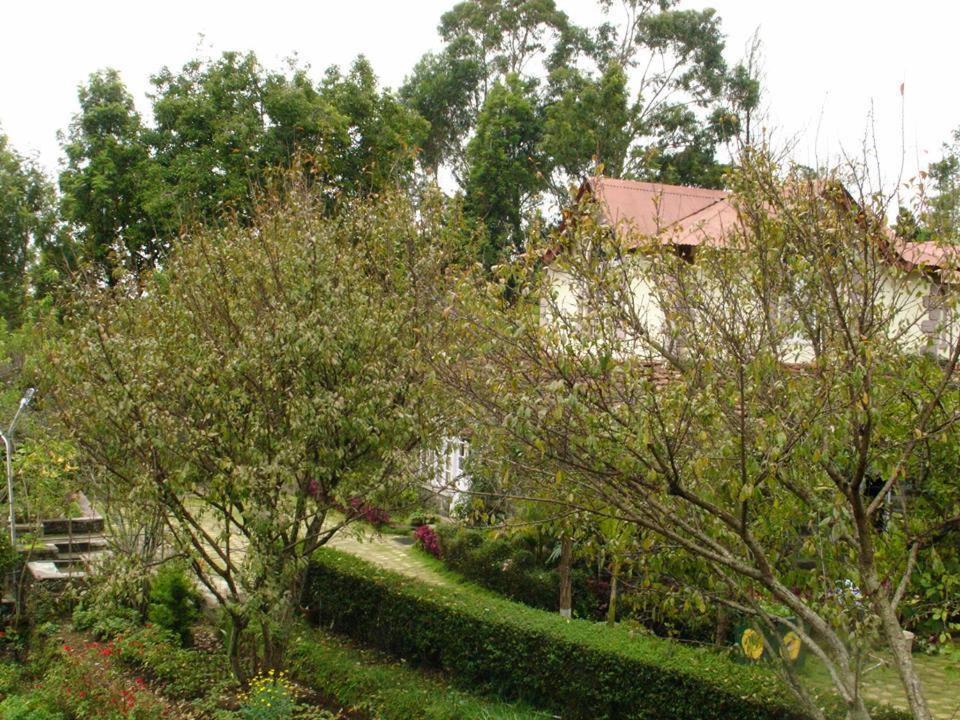Photo 51