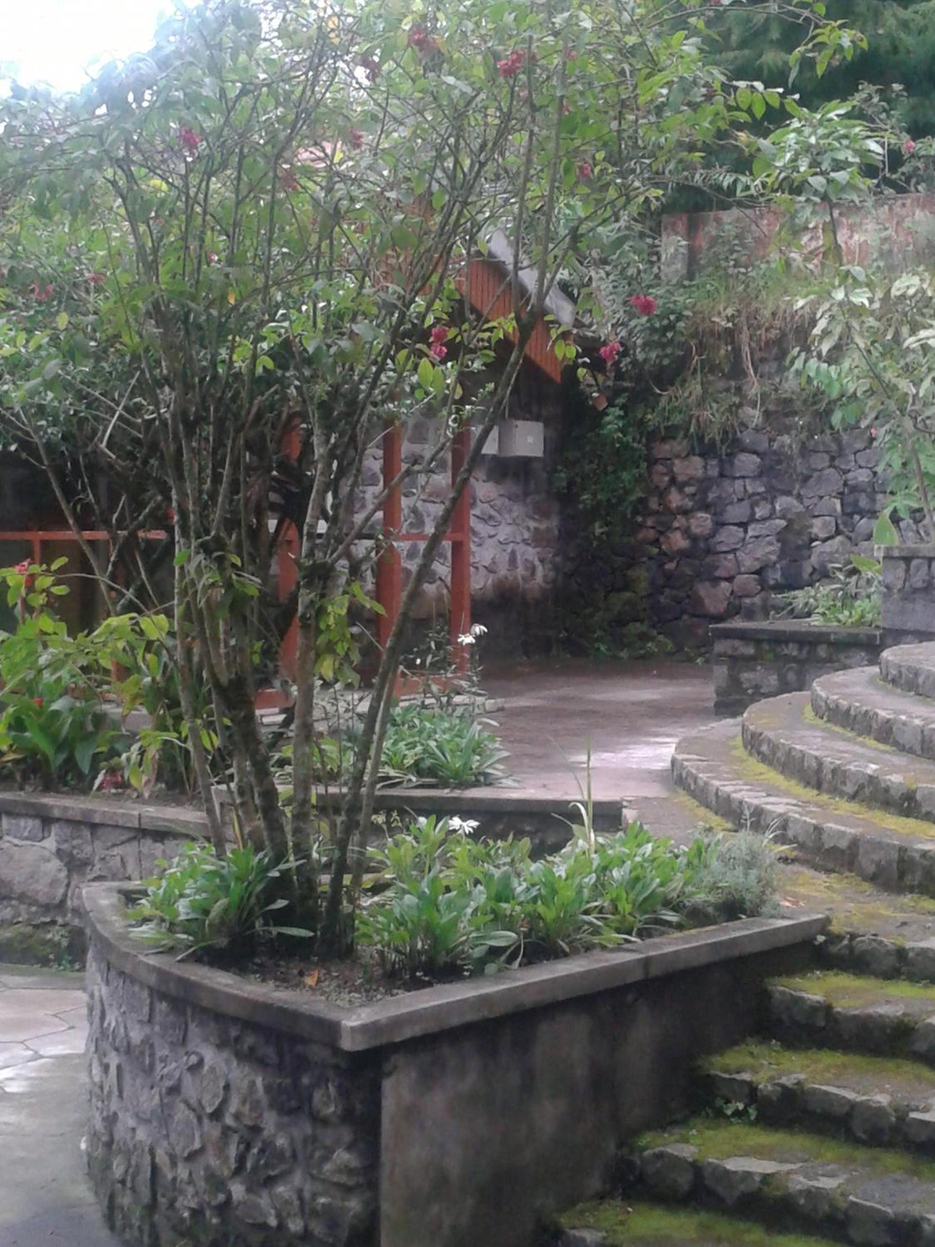 Photo 44