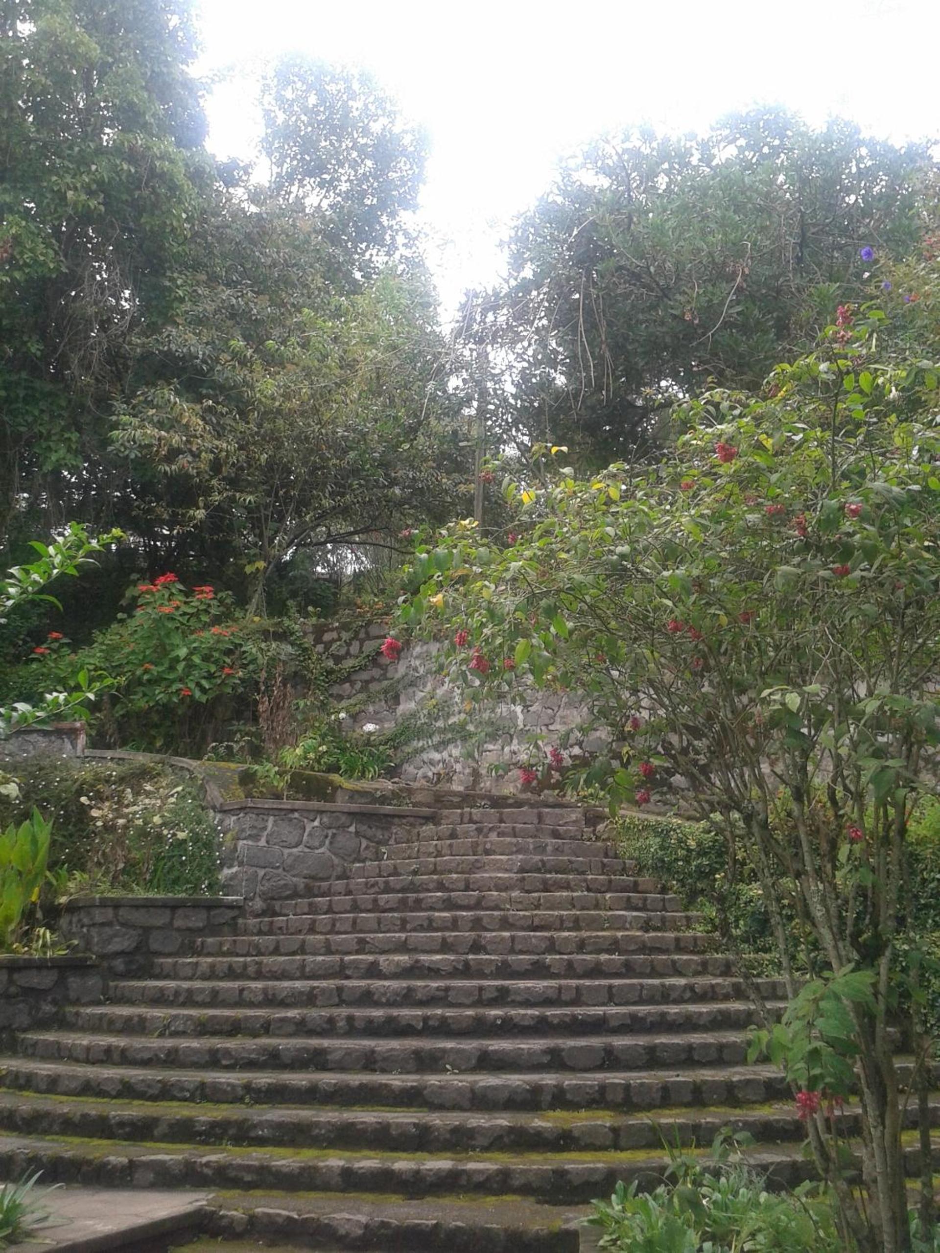 Photo 46