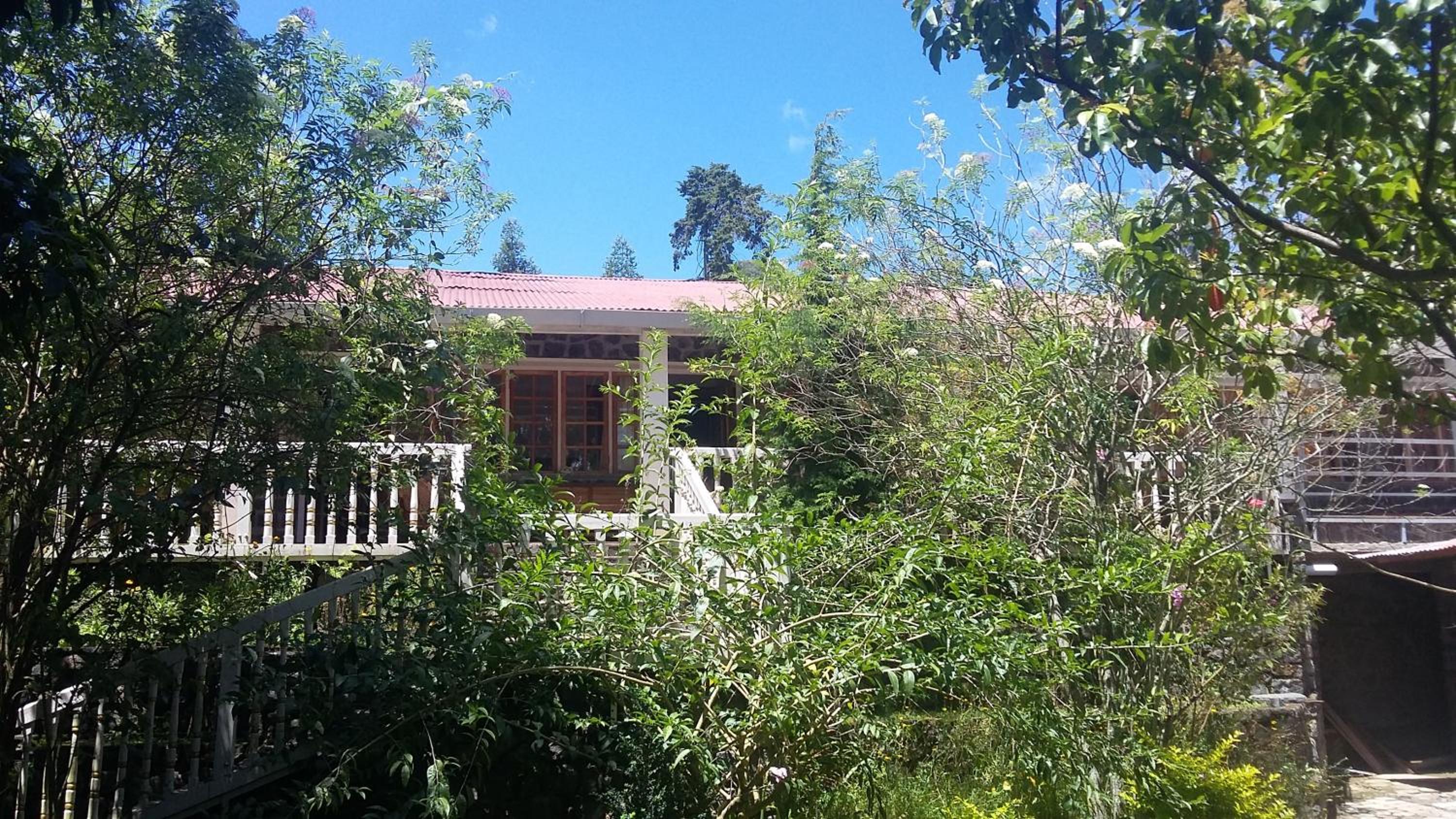 Photo 48