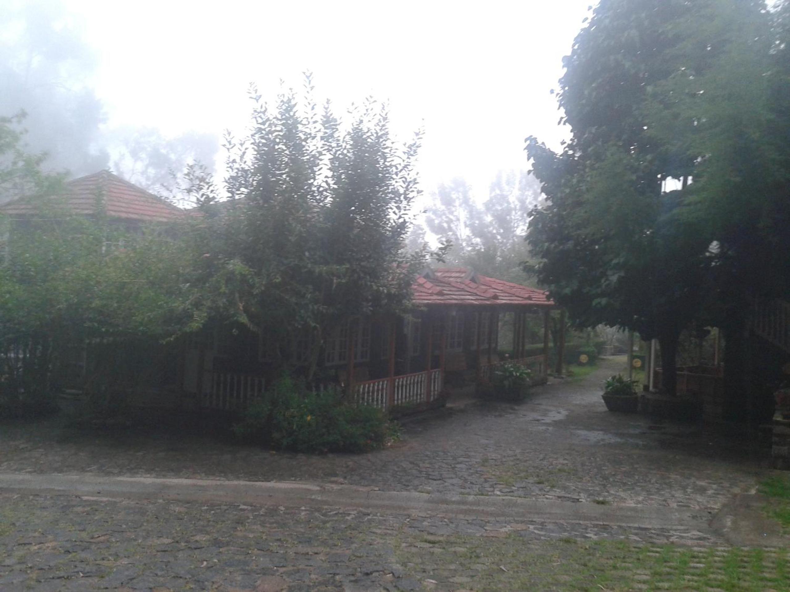 Photo 49
