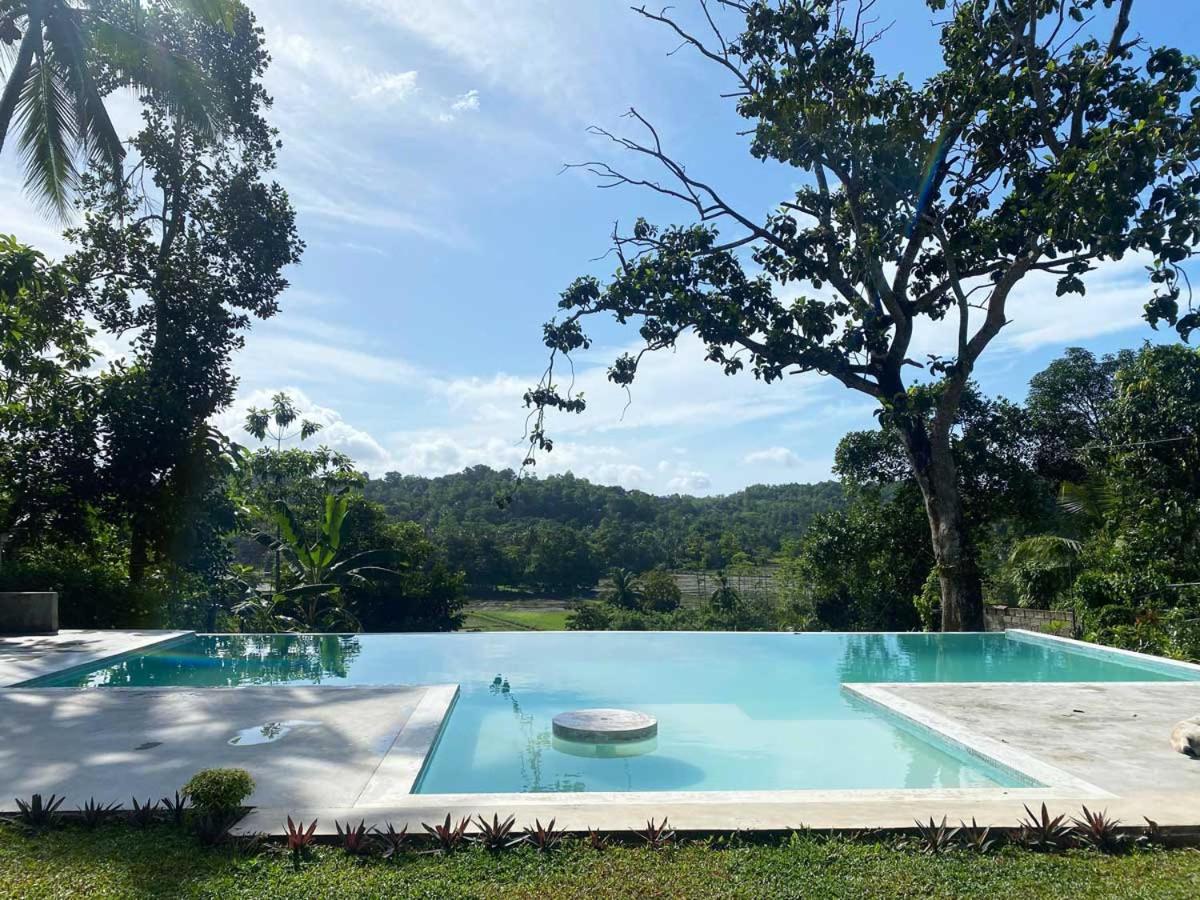Honey Hill House view 3