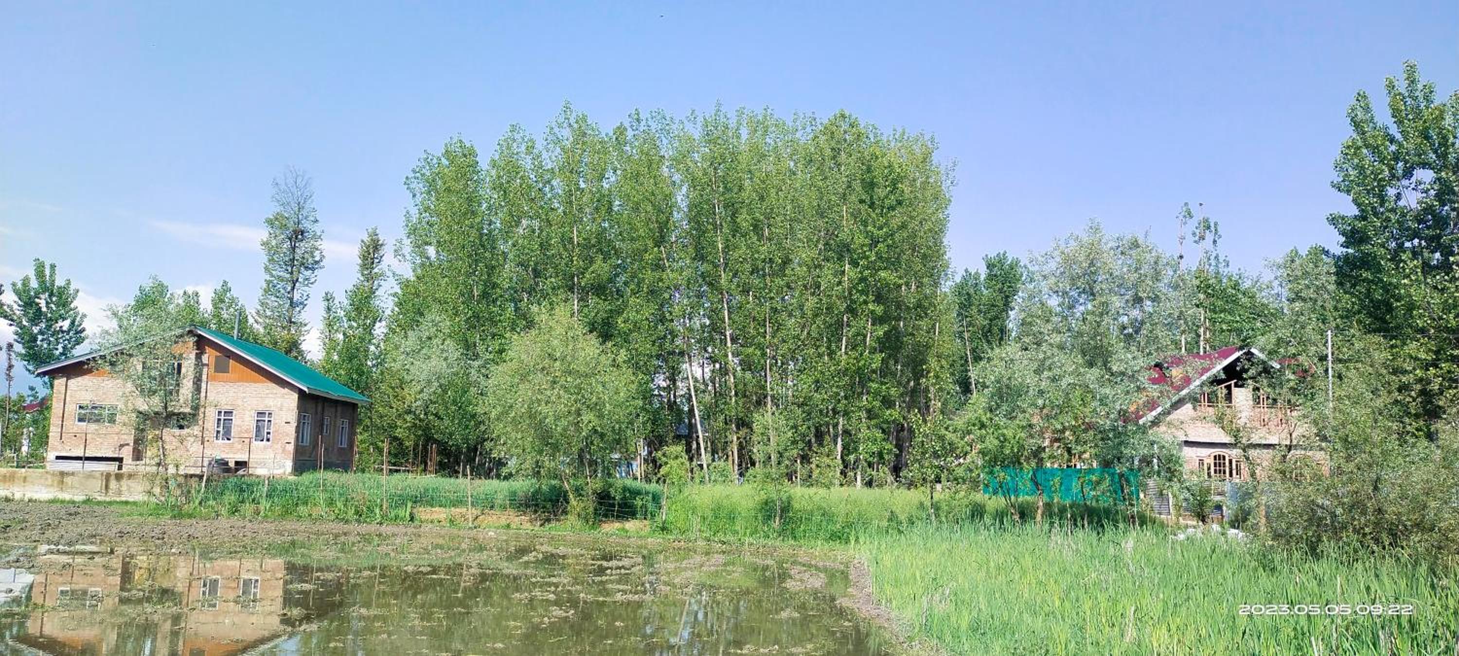 Photo 13