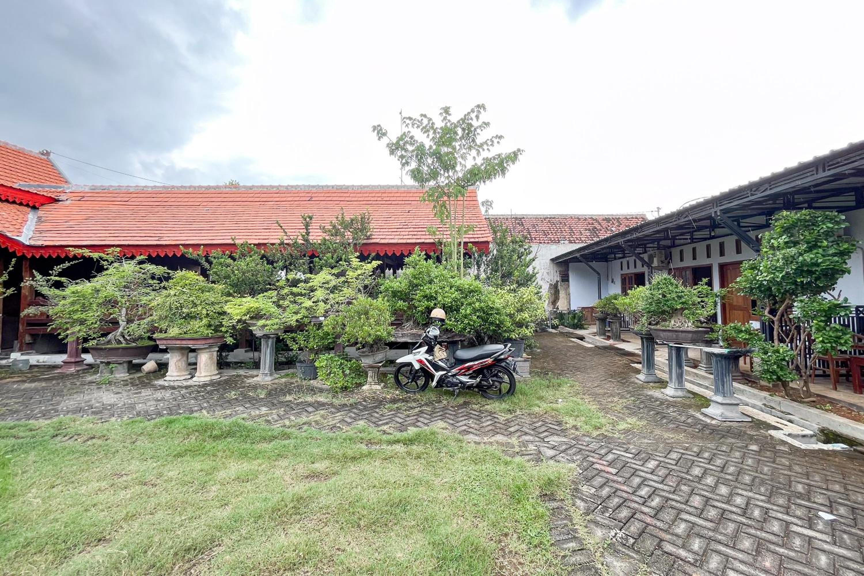Photo 17