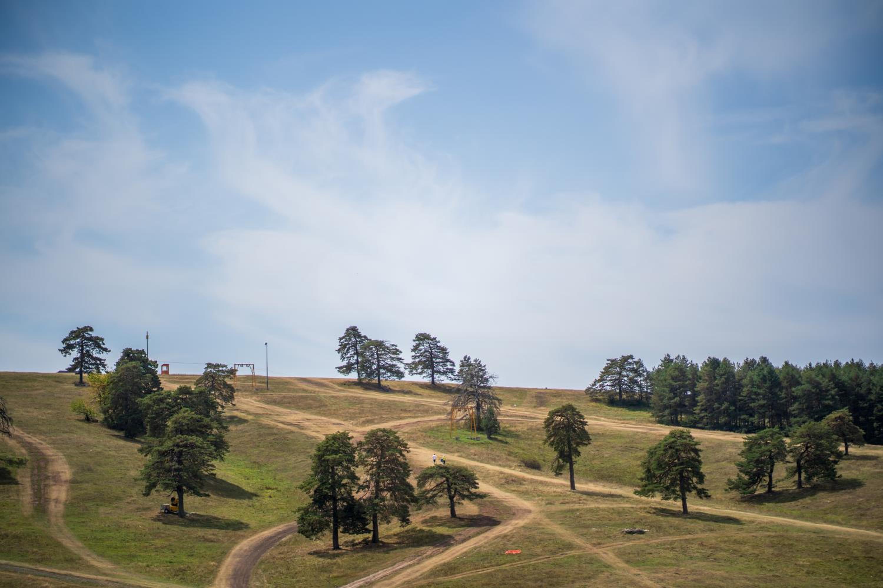 Gold Zlatibor Kalman