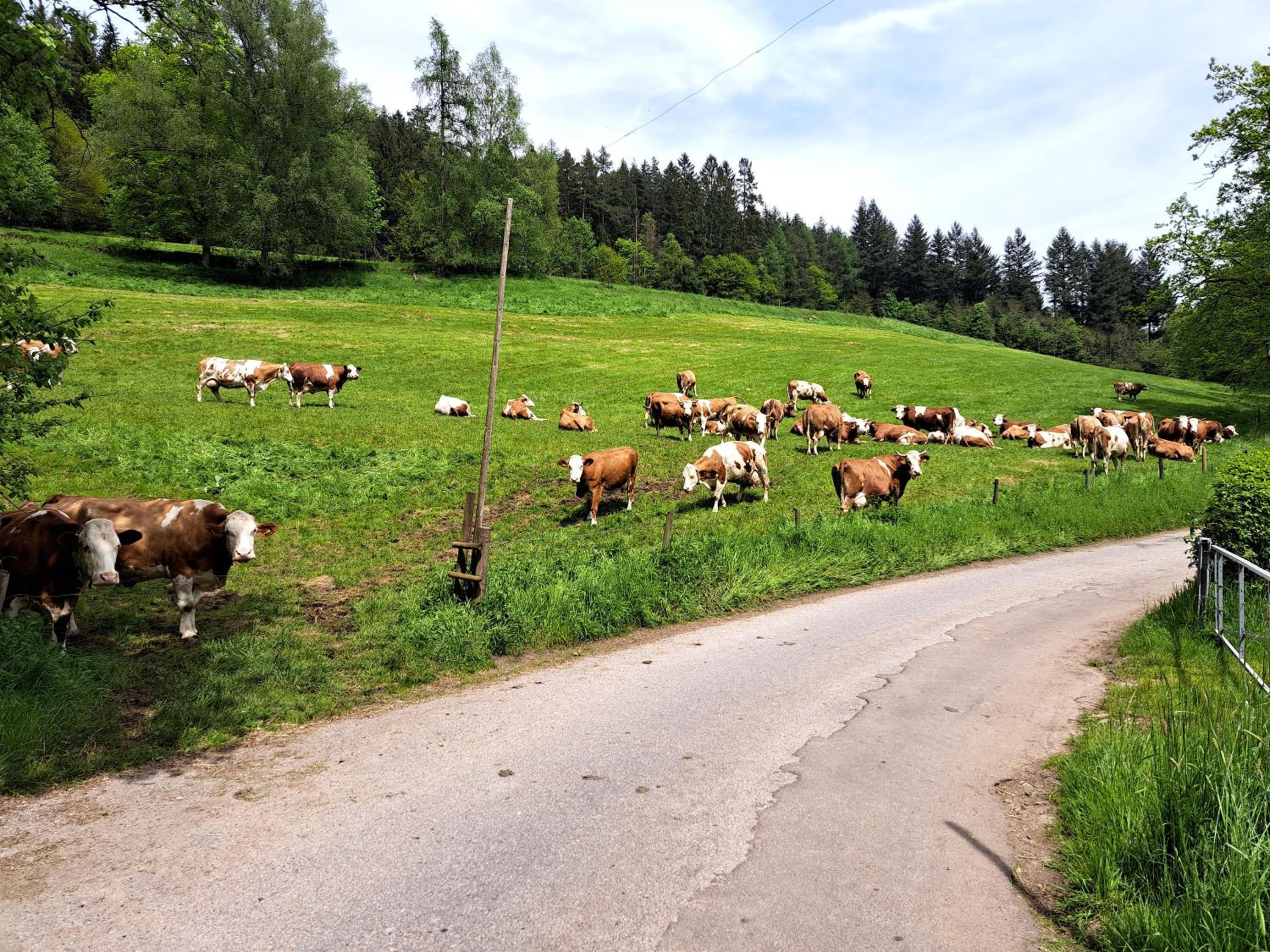 Wohnung Kuhblick