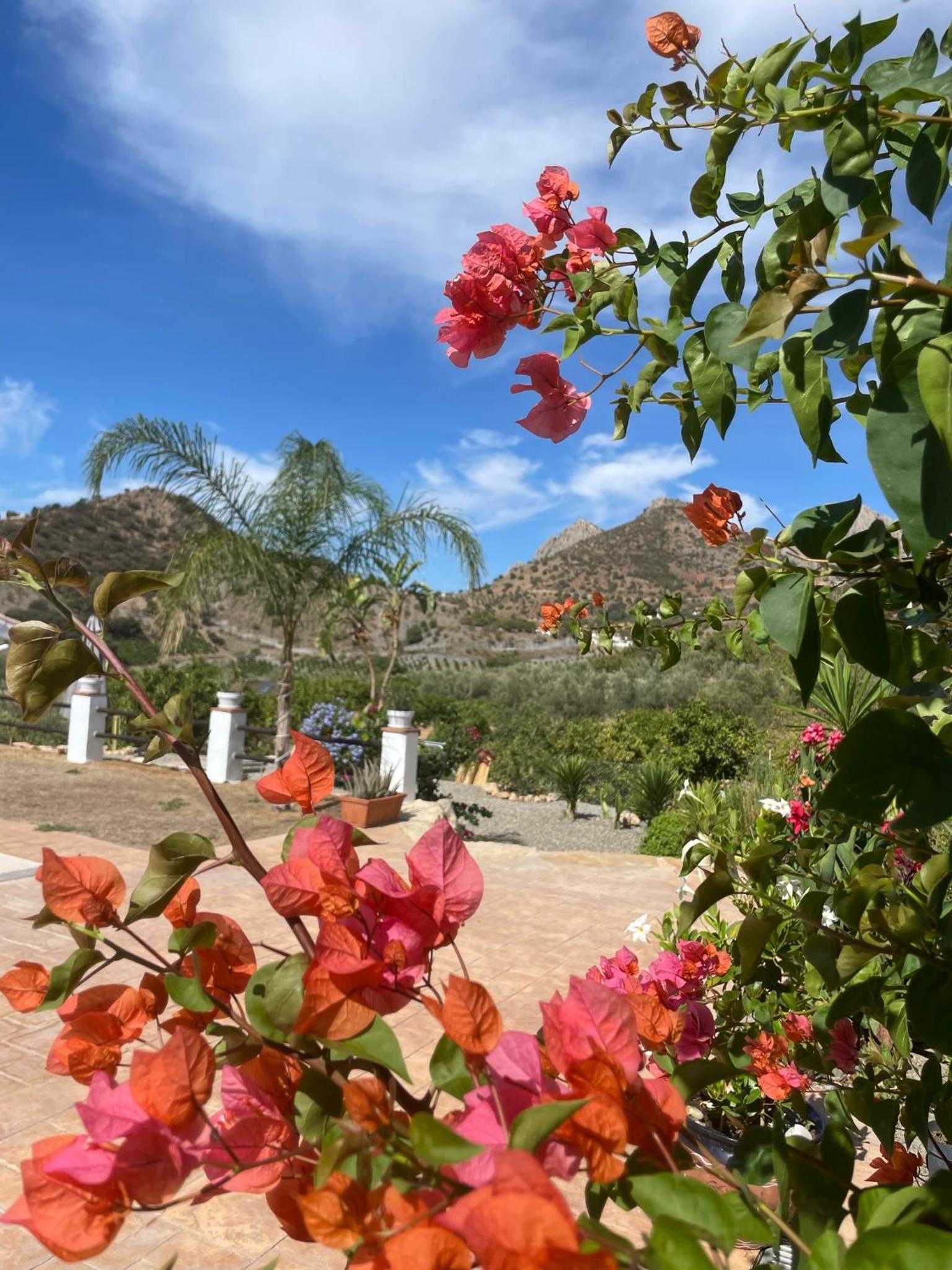 Finca Valle Verde