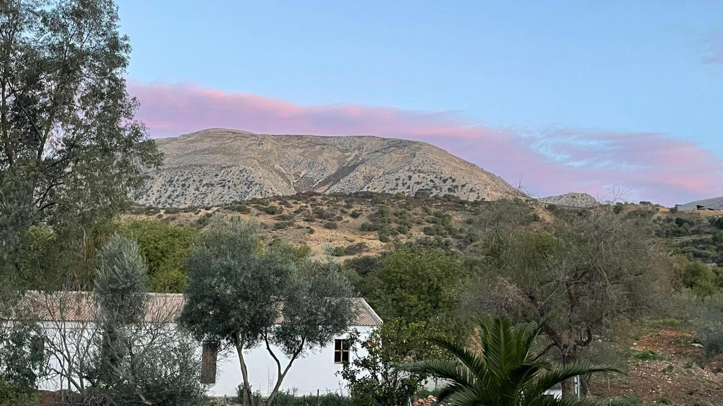 Finca Valle Verde