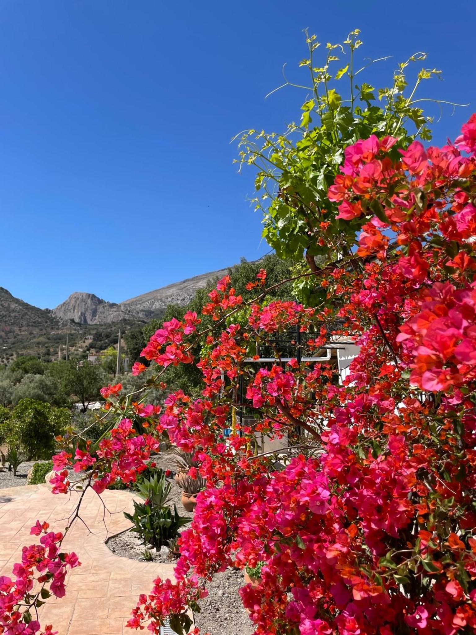 Finca Valle Verde