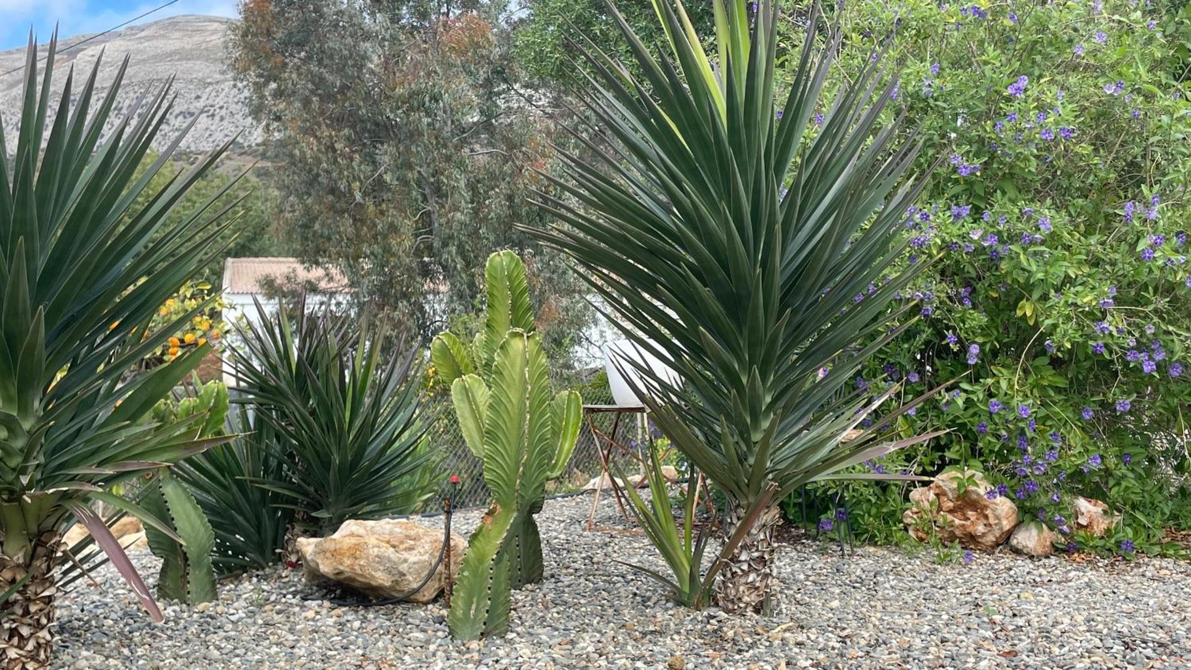 Finca Valle Verde