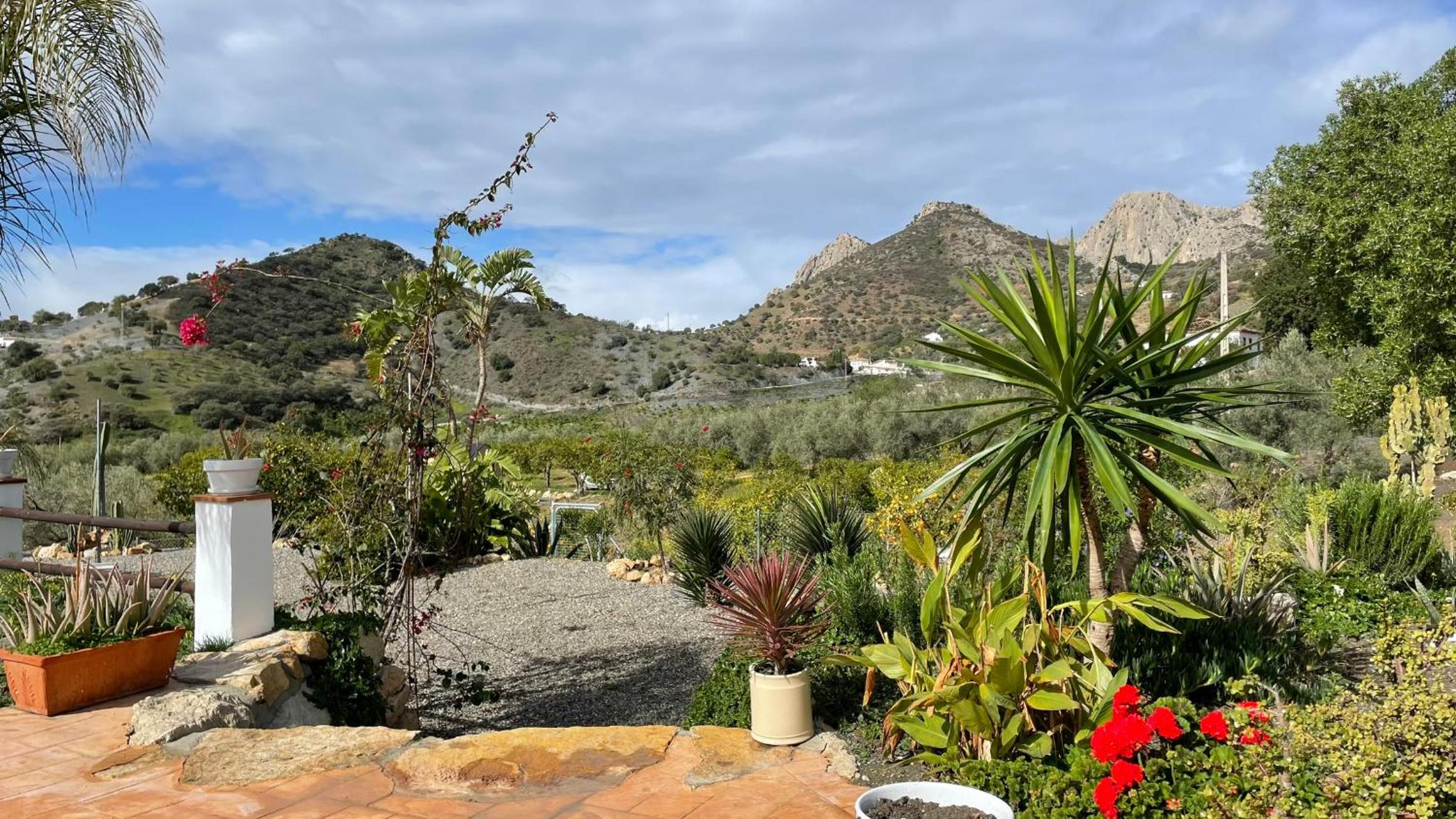 Finca Valle Verde