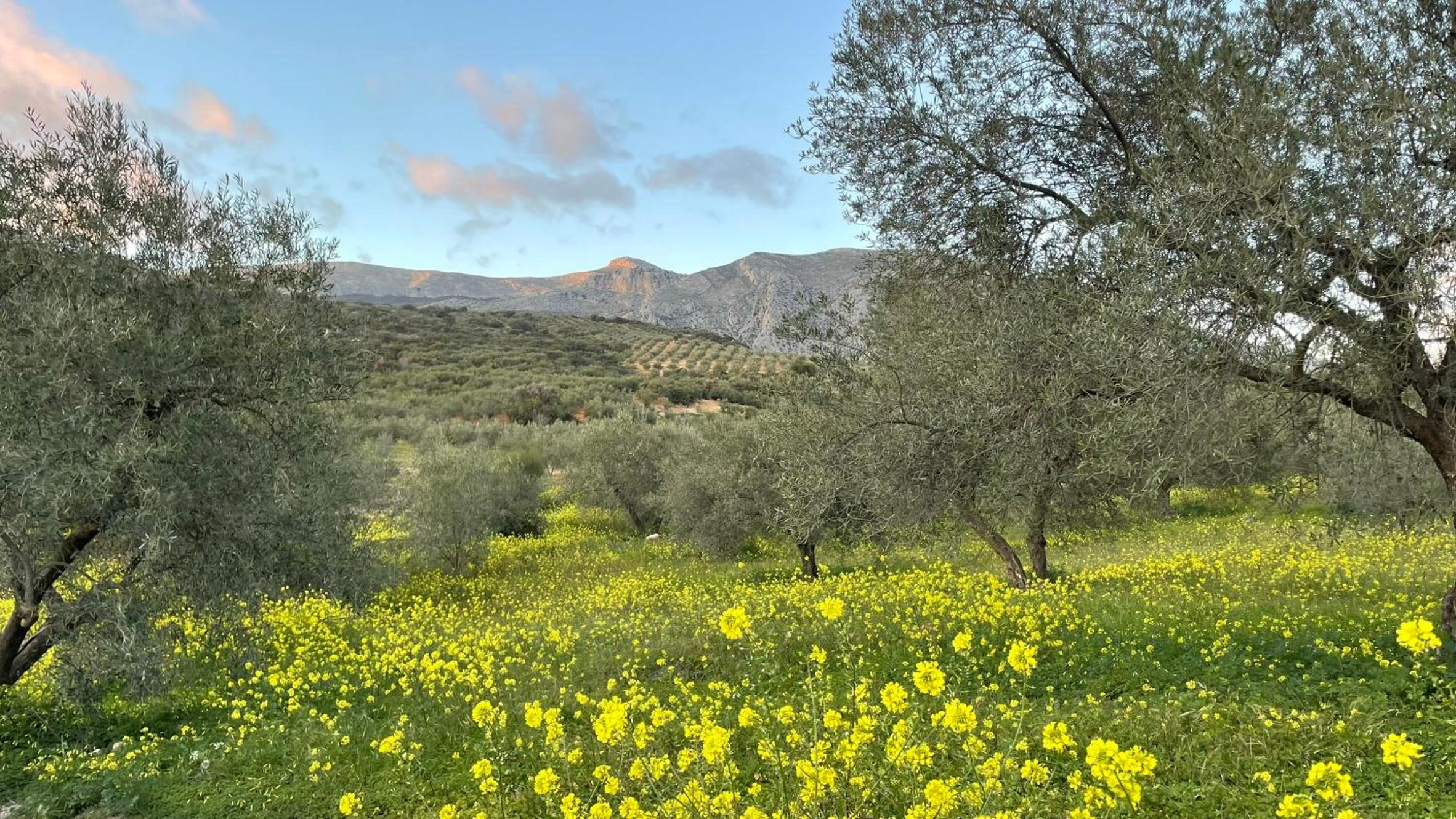 Finca Valle Verde