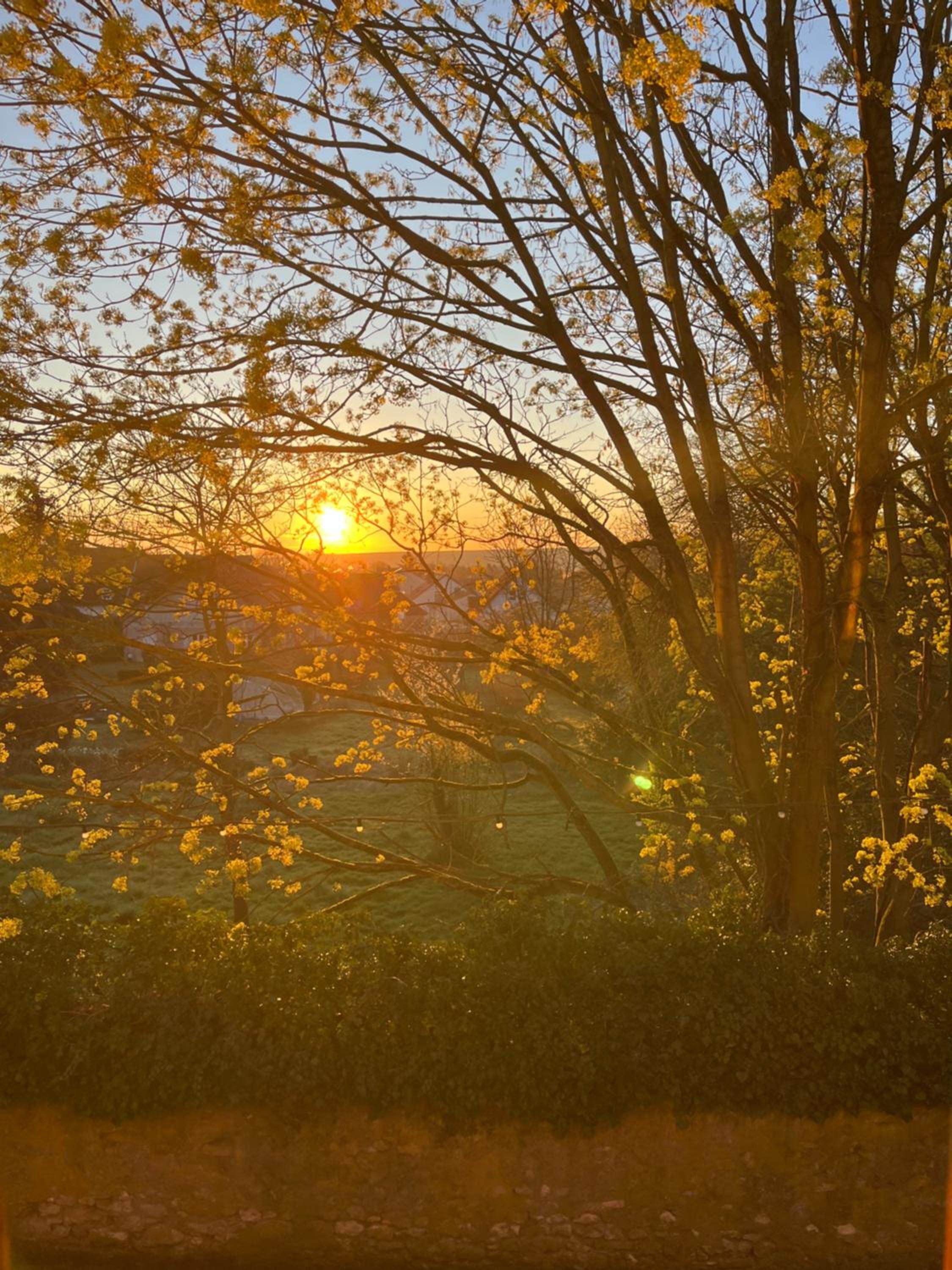 Ferienwohnung im Geyserhof