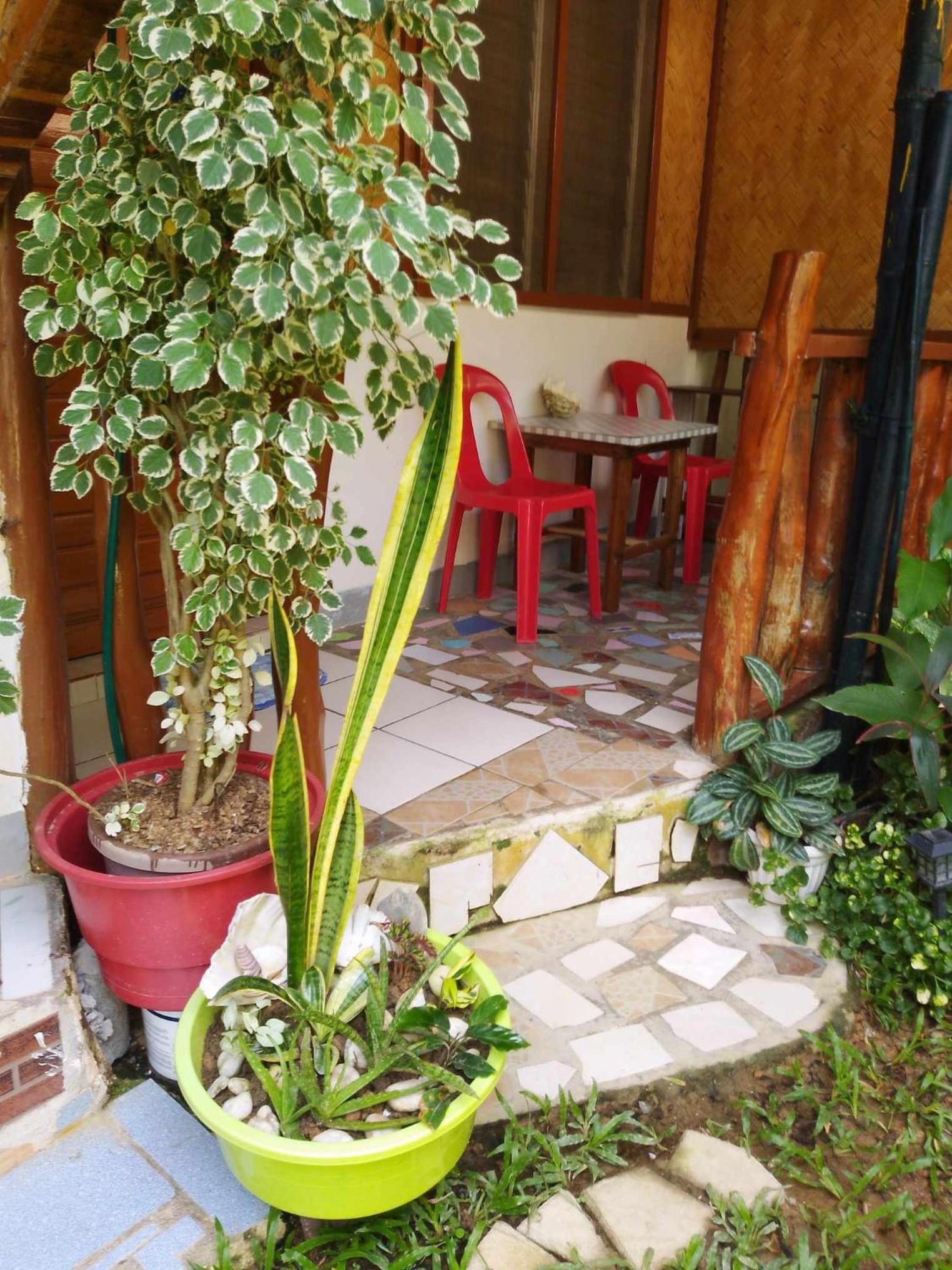 Photo 18