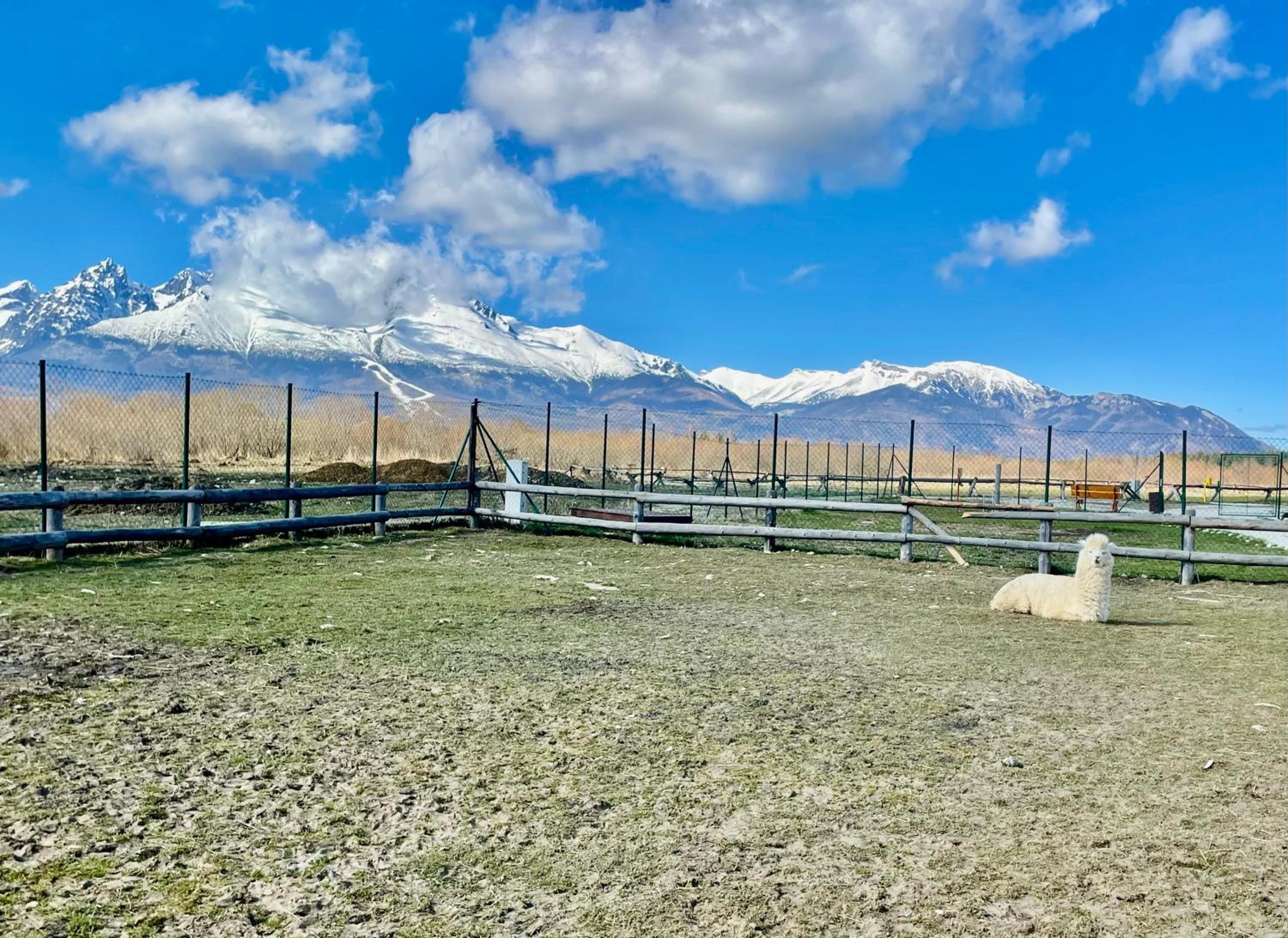 Apartment JENNY- stunning view of High Tatras