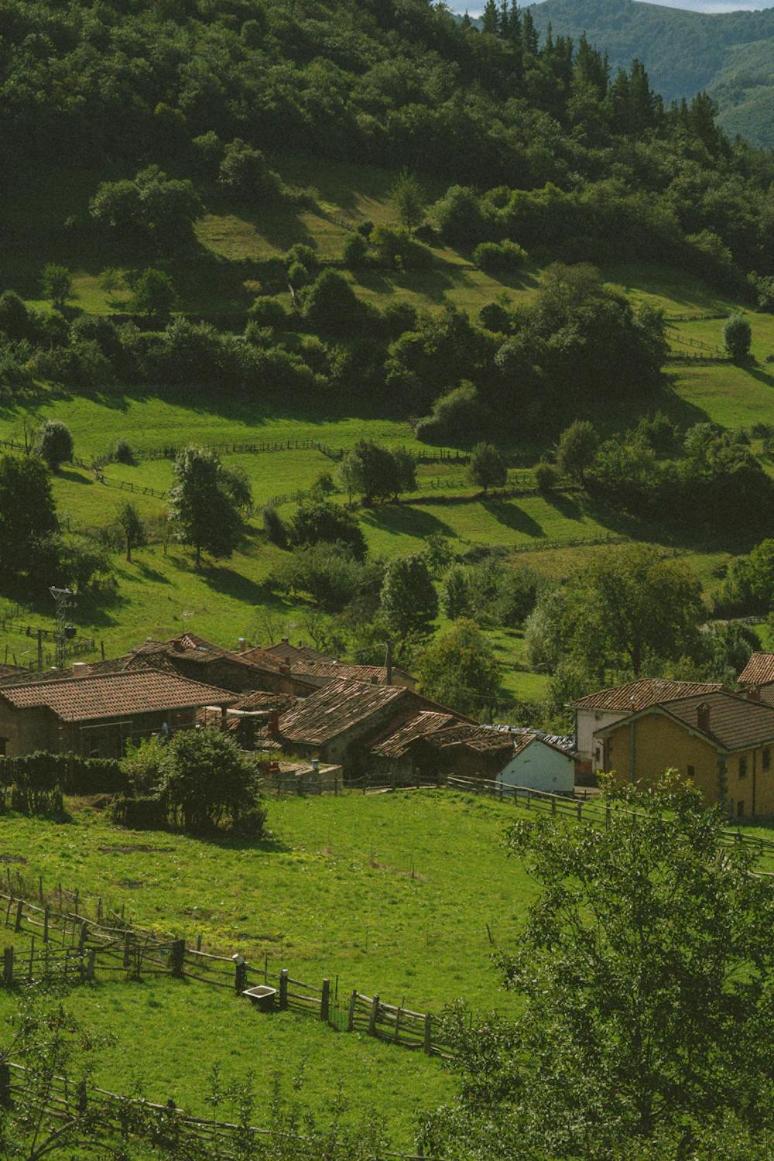 Casa Marian