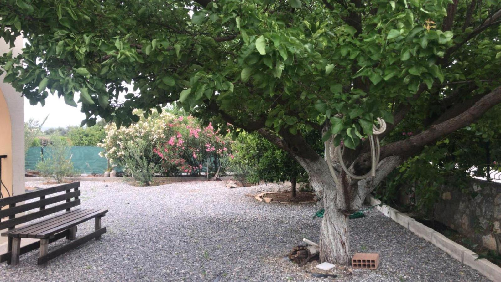 Villa Alsancak Girne
