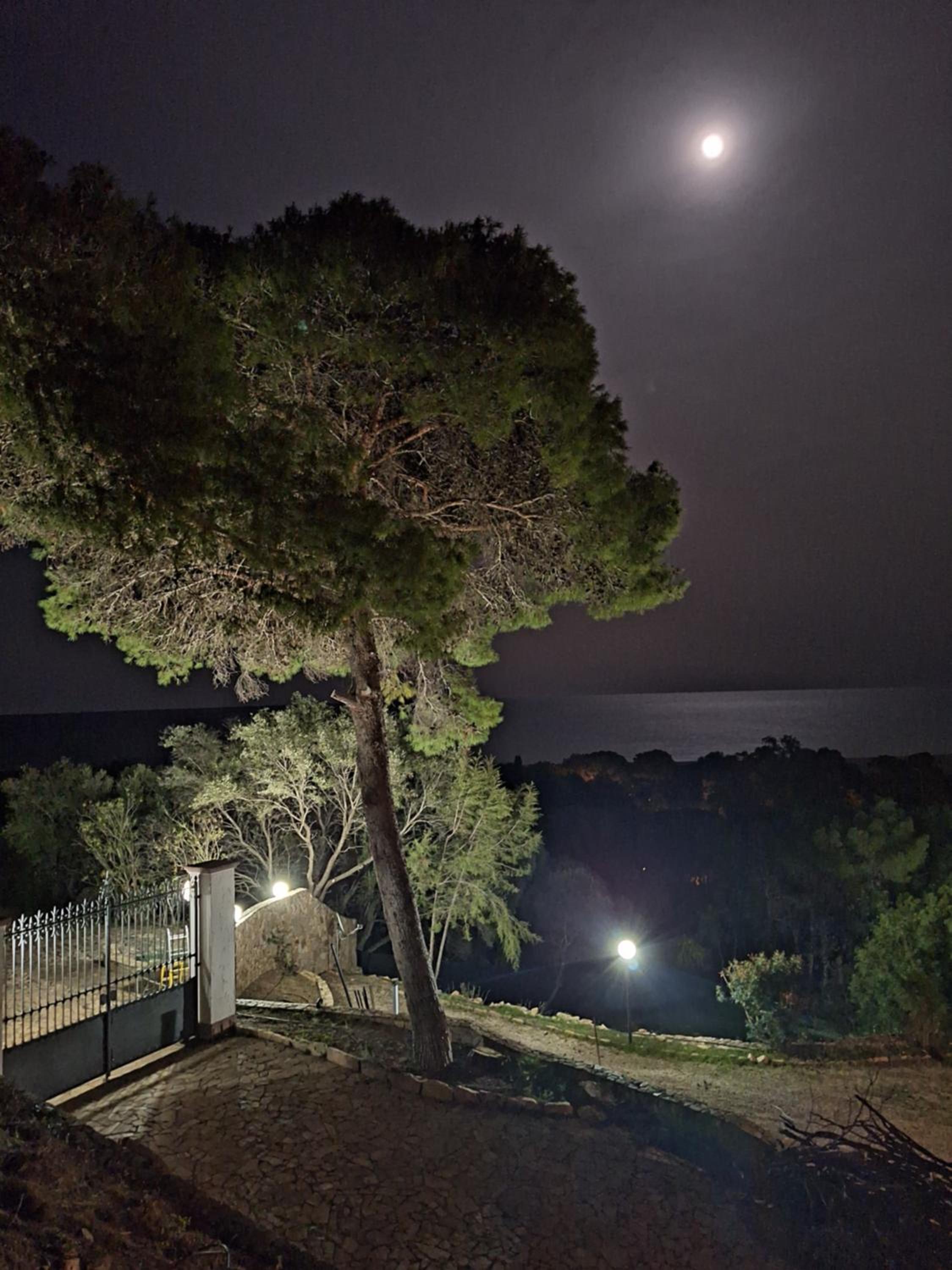 Villa Caldinelli