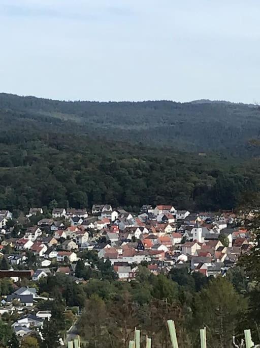 Apartment mit Wintergarten und Terrasse in ruhiger Lage im schönen Taunus