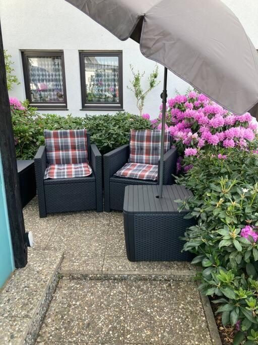 Apartment mit Wintergarten und Terrasse in ruhiger Lage im schönen Taunus