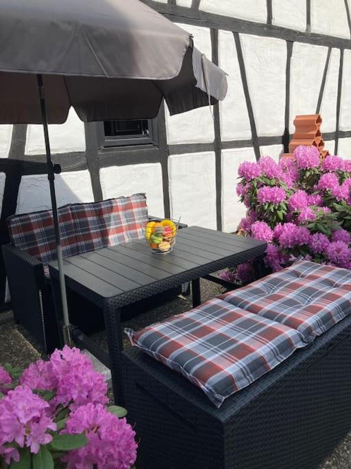 Apartment mit Wintergarten und Terrasse in ruhiger Lage im schönen Taunus