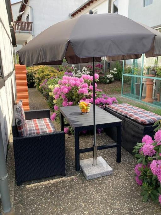 Apartment mit Wintergarten und Terrasse in ruhiger Lage im schönen Taunus