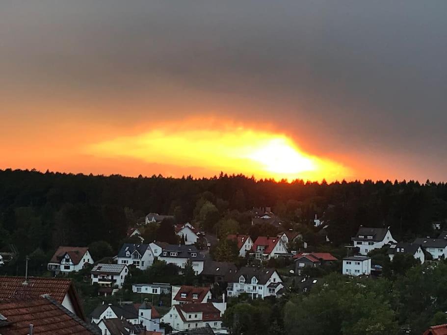 Apartment mit Wintergarten und Terrasse in ruhiger Lage im schönen Taunus