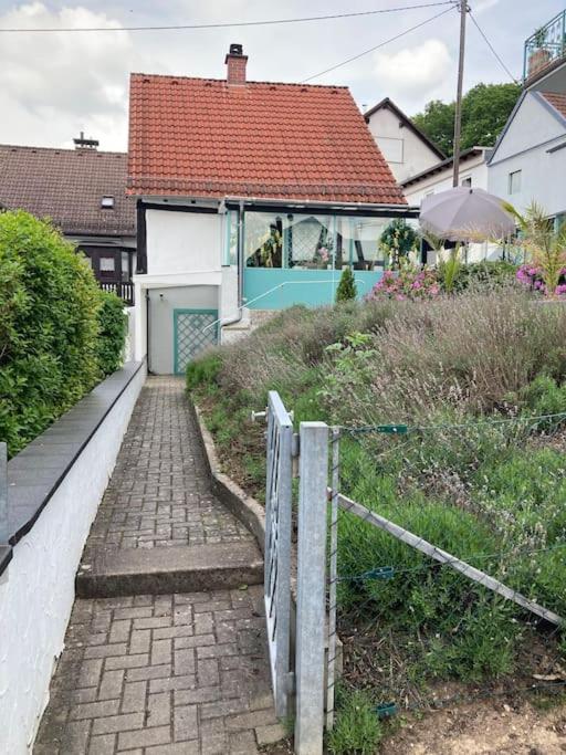 Apartment mit Wintergarten und Terrasse in ruhiger Lage im schönen Taunus