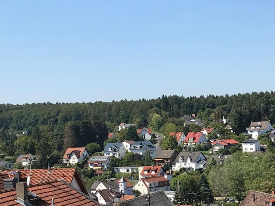 Apartment mit Wintergarten und Terrasse in ruhiger Lage im schönen Taunus
