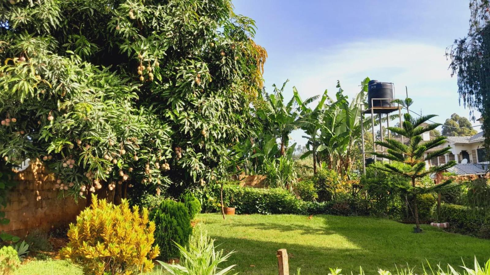 Hotfoot Homestays