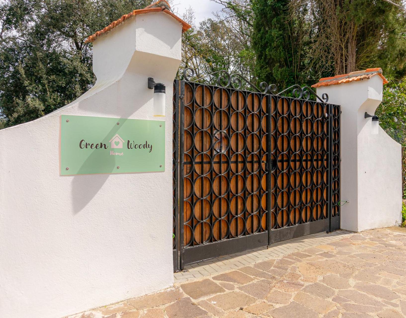 Green Woody Home