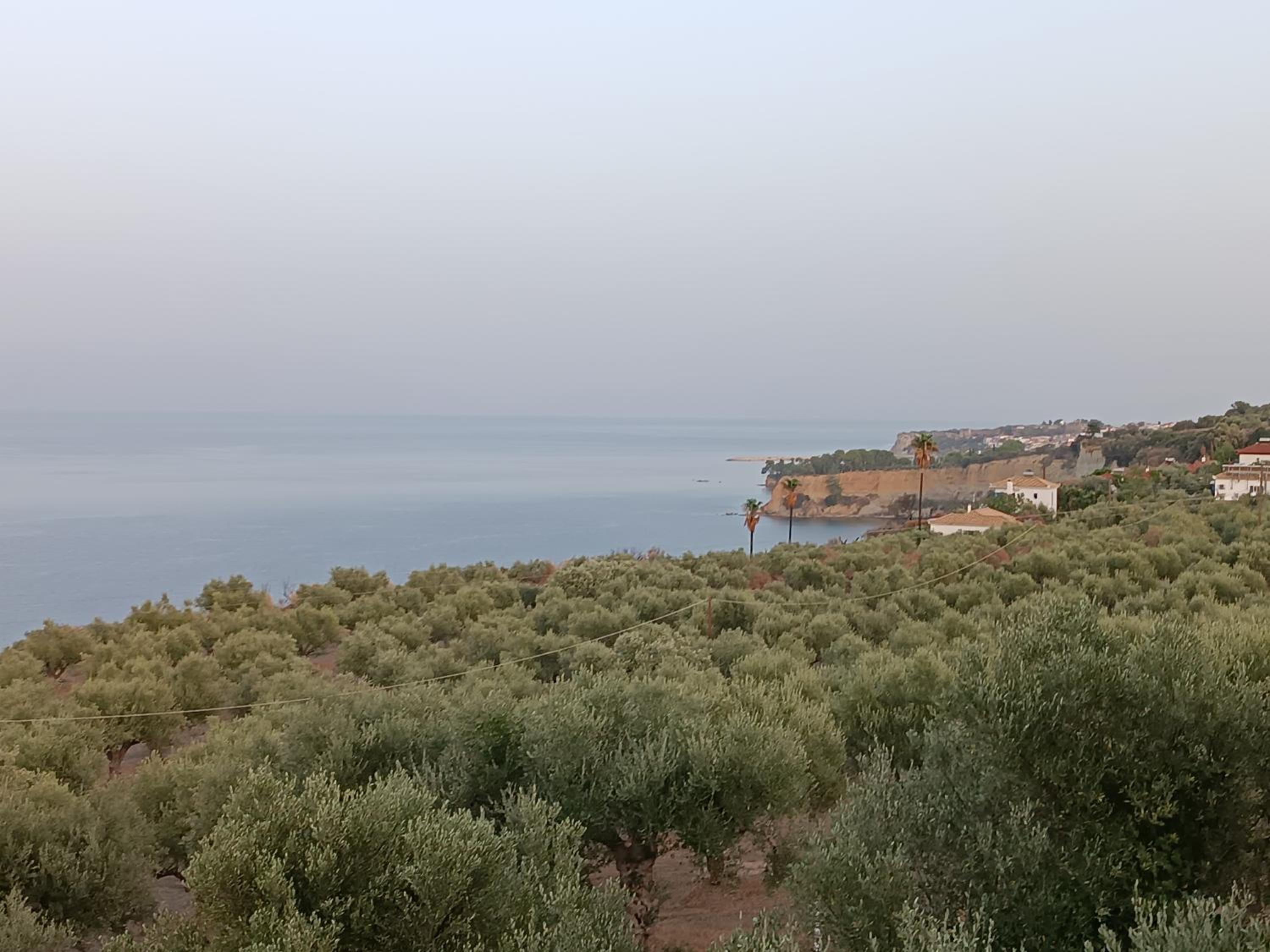 Tritsili house