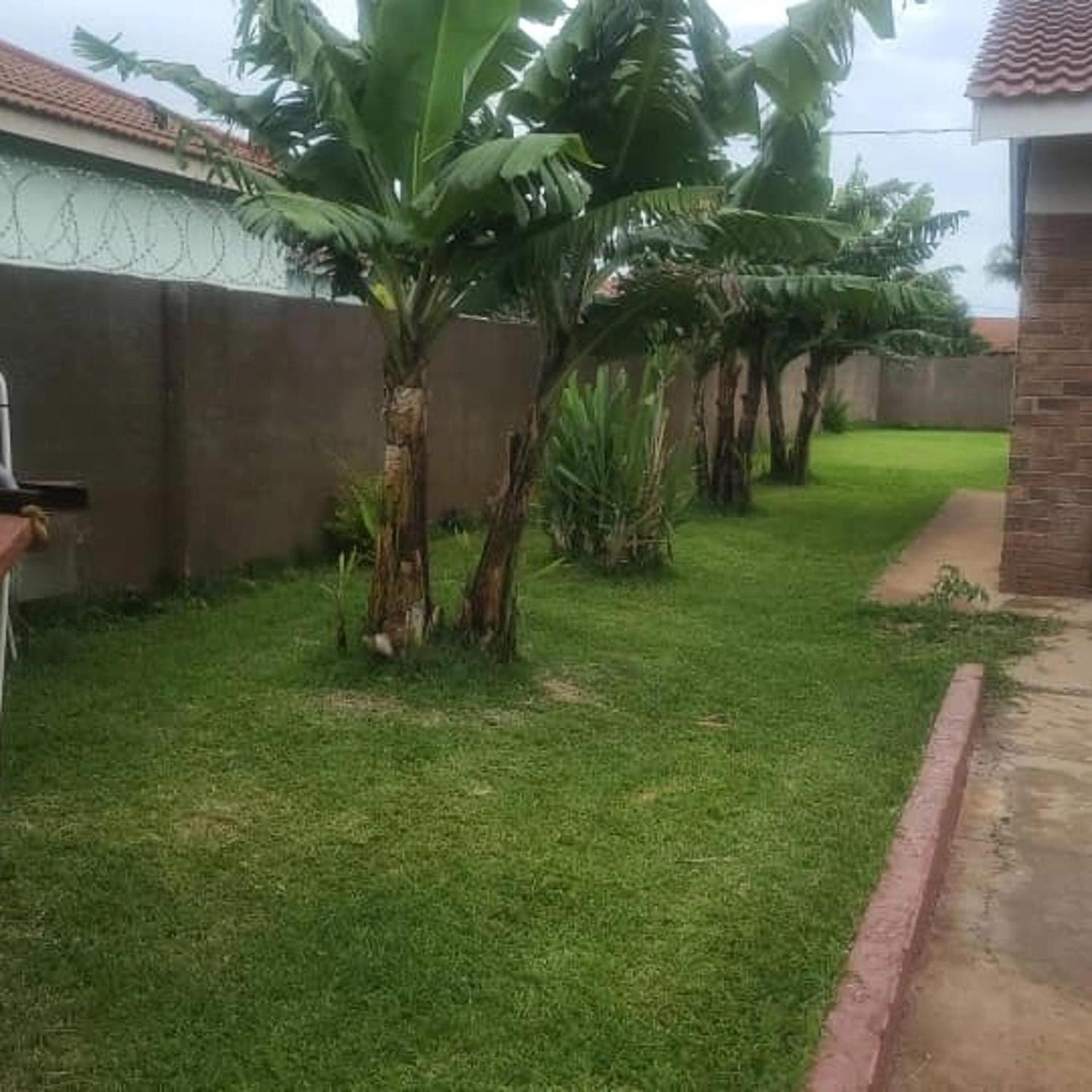 Bulawayo Bliss - Cozy 3 Bedroom House view 5