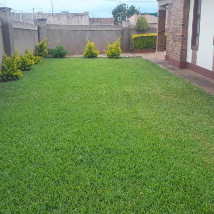 Bulawayo Bliss - Cozy 3 Bedroom House view 2