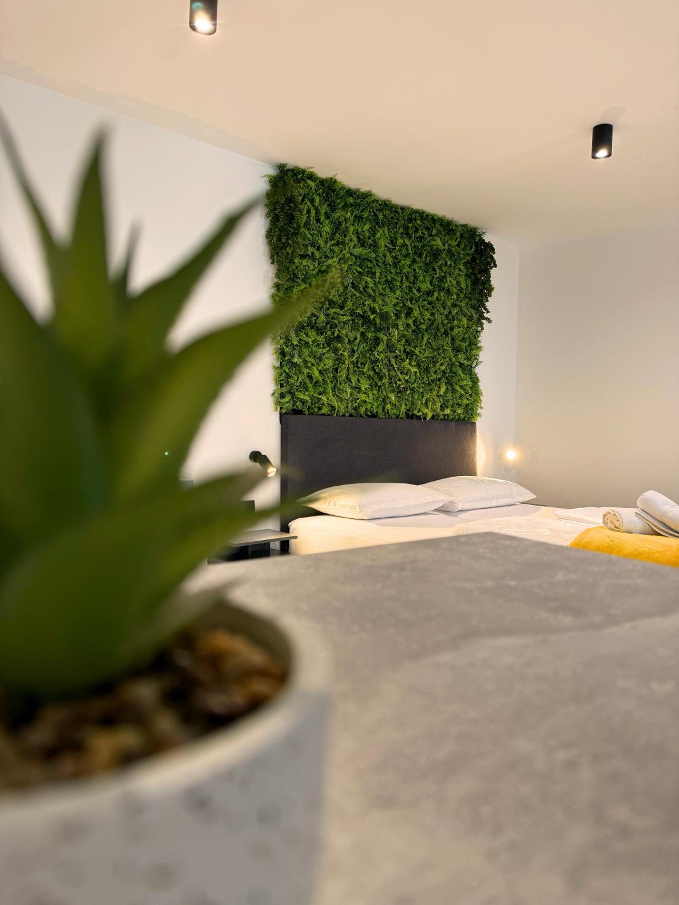 Luxe Adriatic Apartment view 4