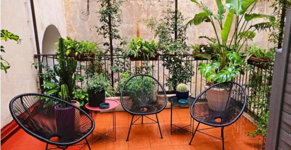 balance & terrace
