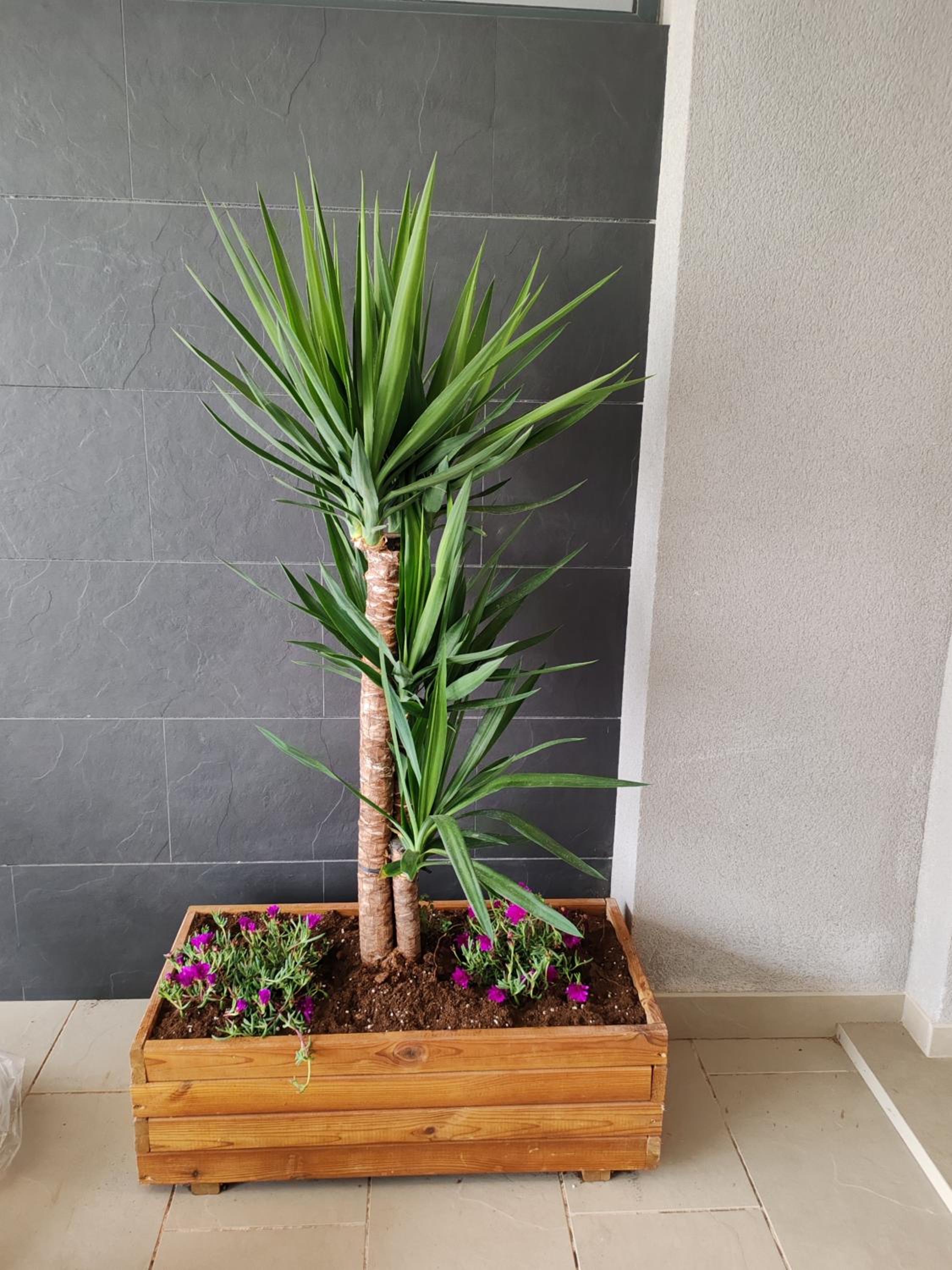 other