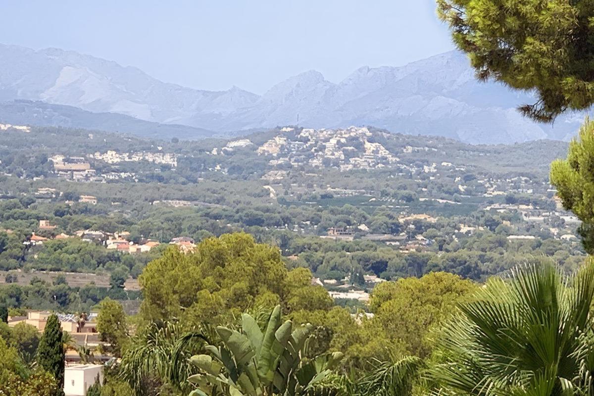 Laguna