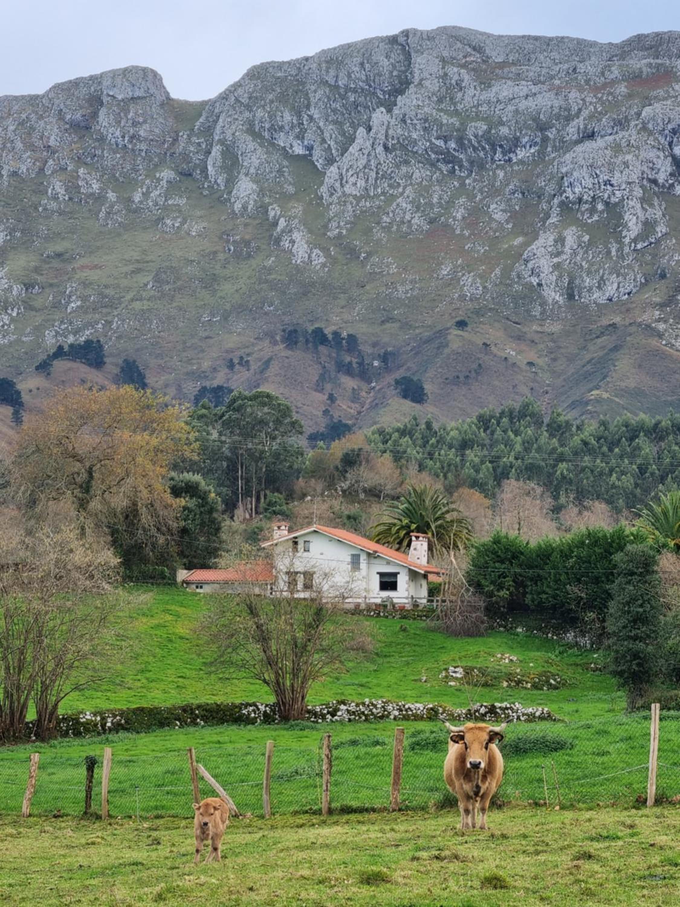 La Casita de Llanes (Parres)